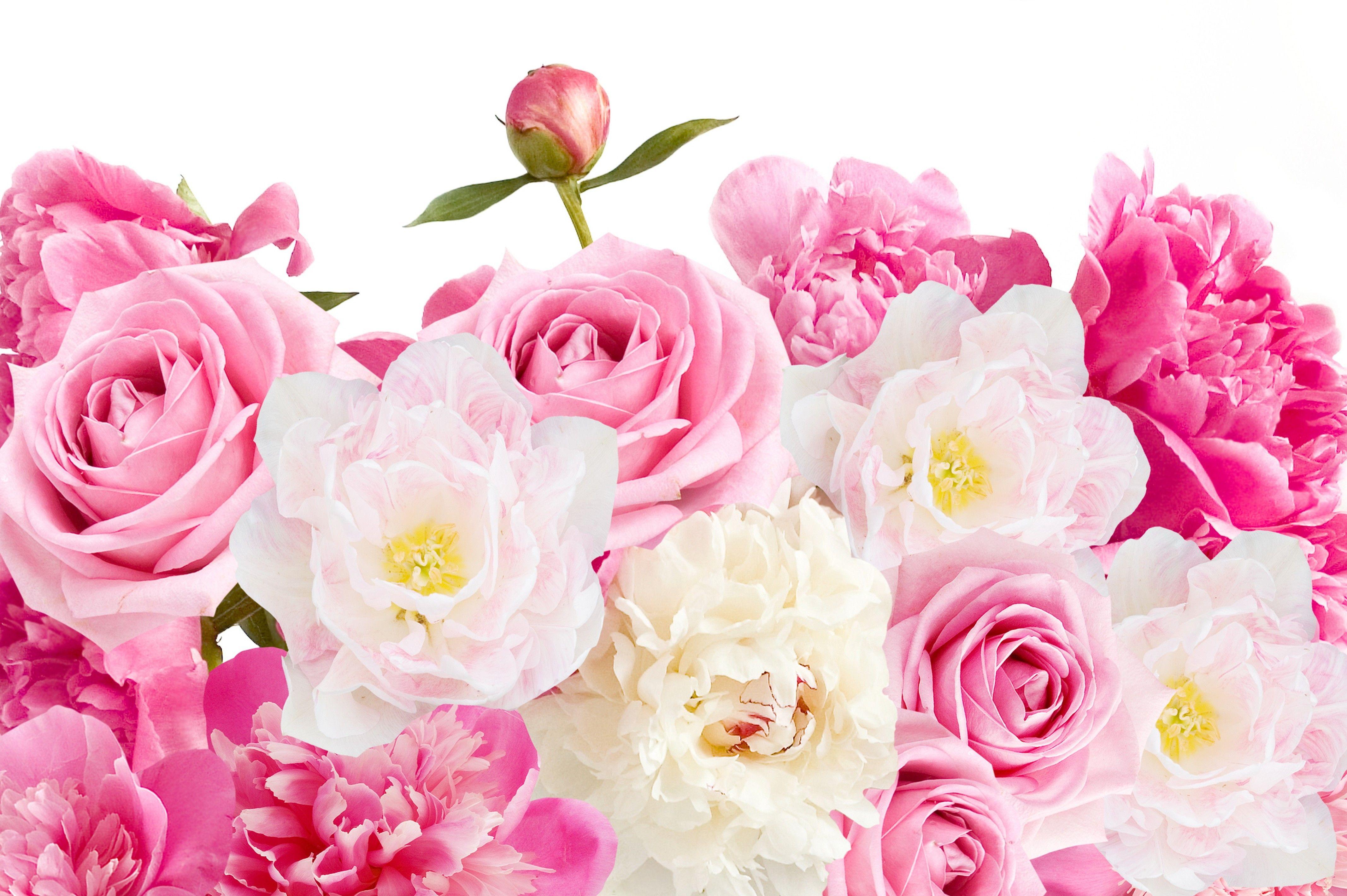 4270x2840 Pink Roses and Peonies Hình nền 4k Ultra HD