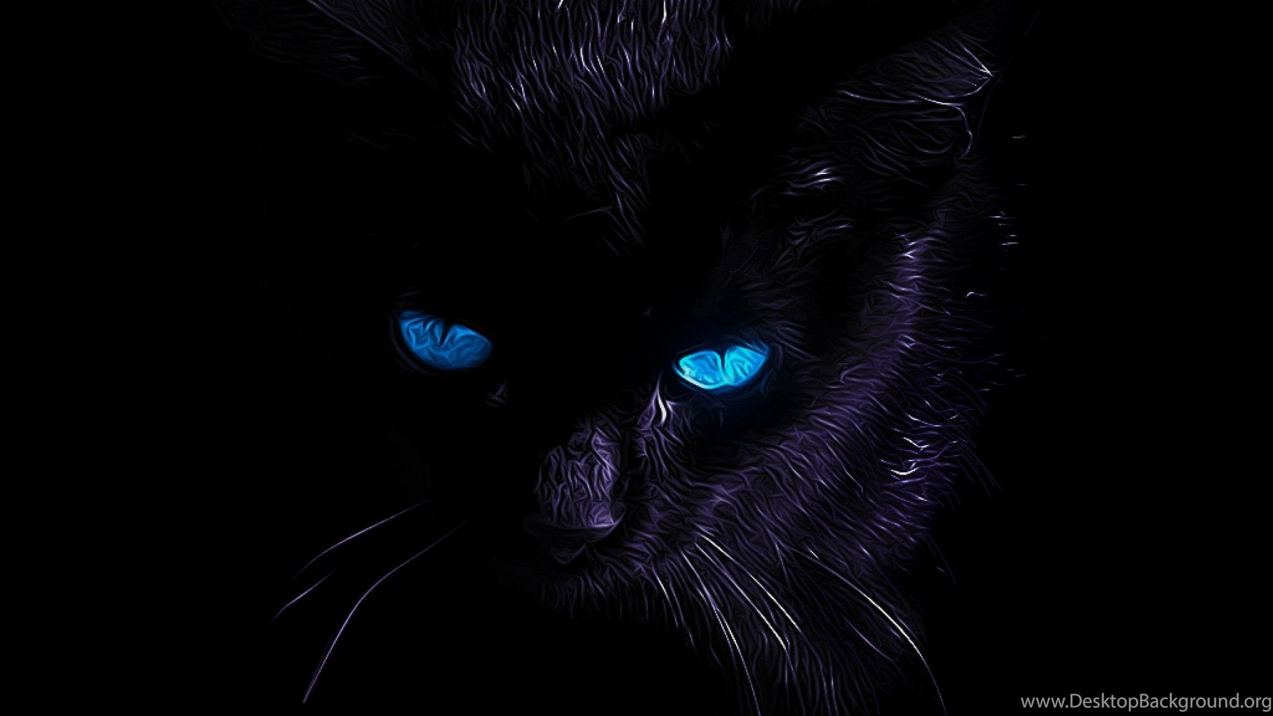 Black Cat Wallpapers Top Free Black Cat Backgrounds Images, Photos, Reviews