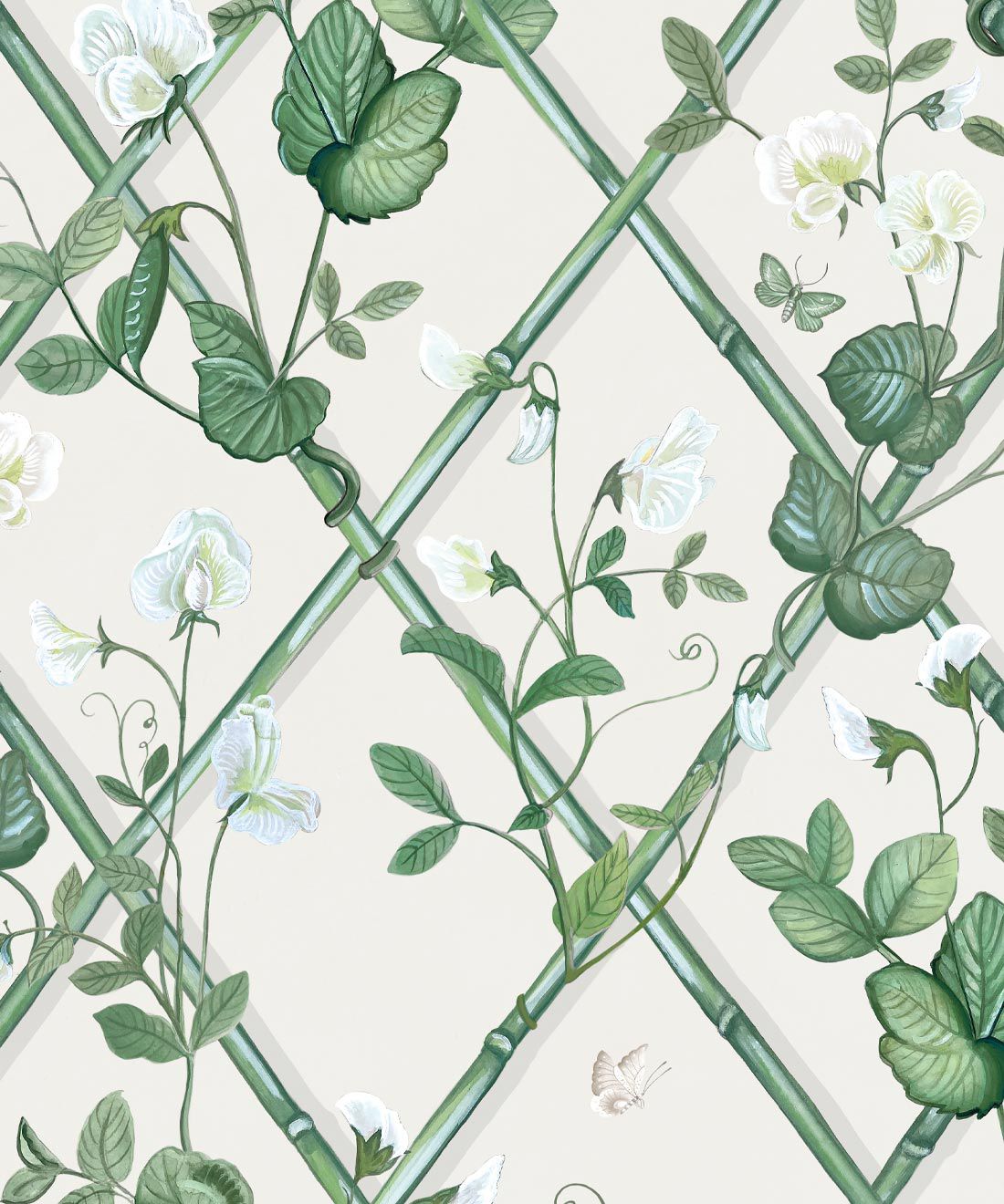 1100x1320 Grande Climbing Sweet Pea Wallpaper • Trellis Design US