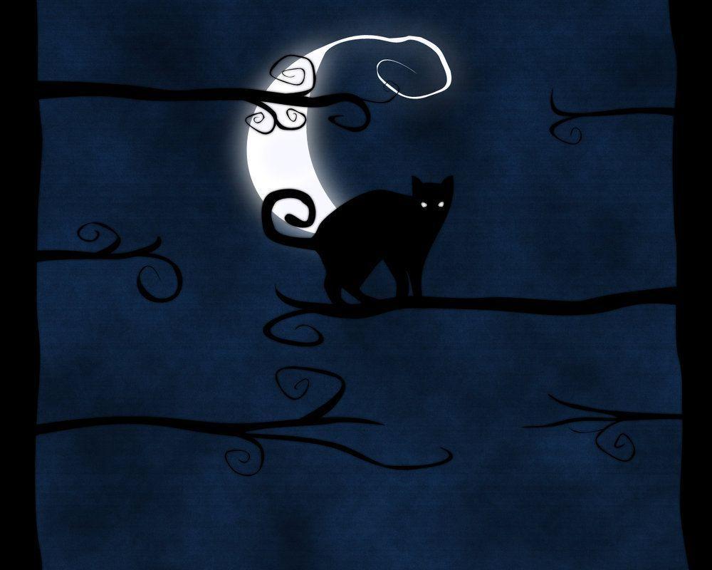 1000x800 Black Cat Wallpaper