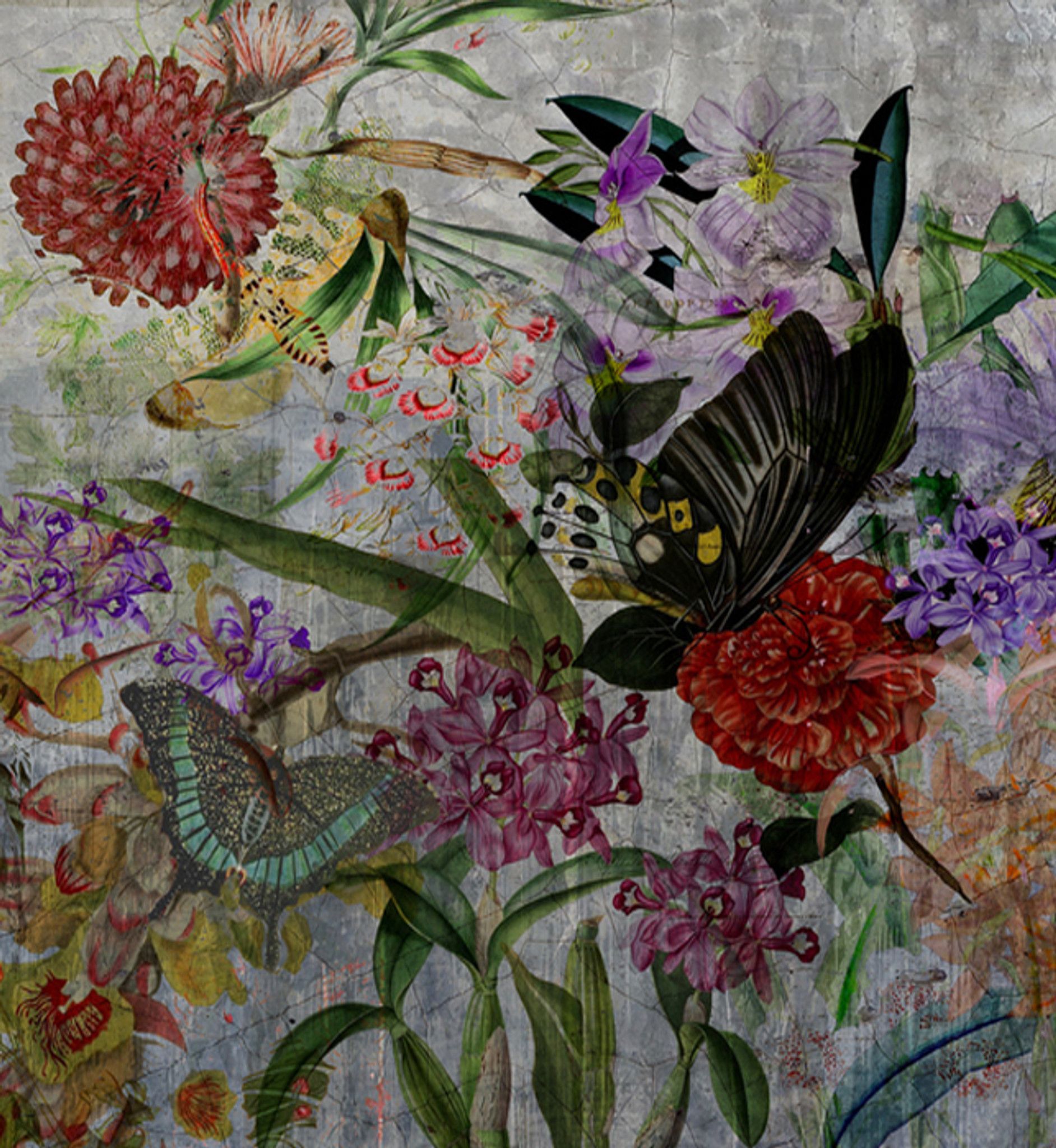 1884x2048 Wallpaper Walled Garden