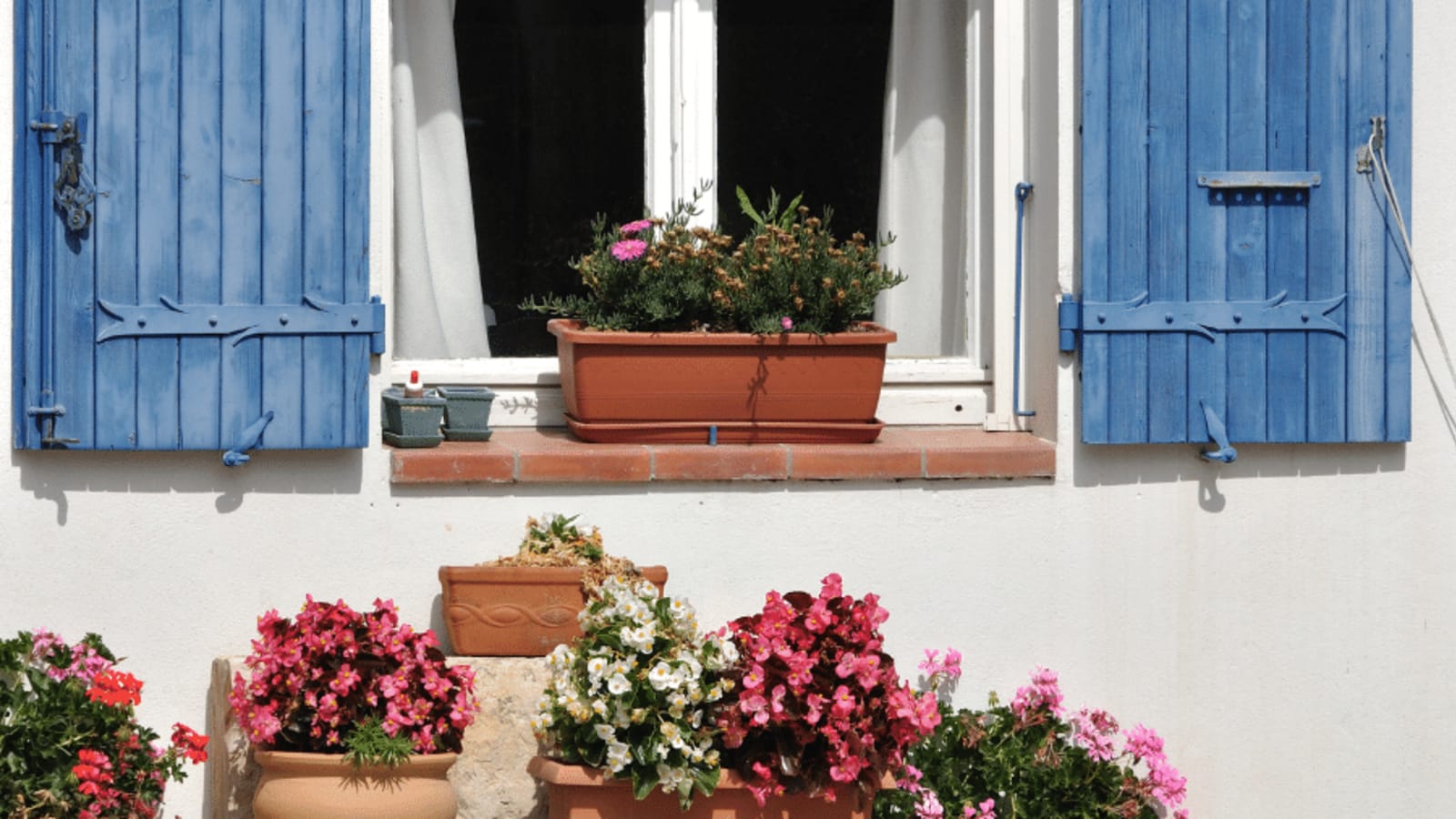1600x900 Plants You Can't Miss For an Authentic Spanish Garden