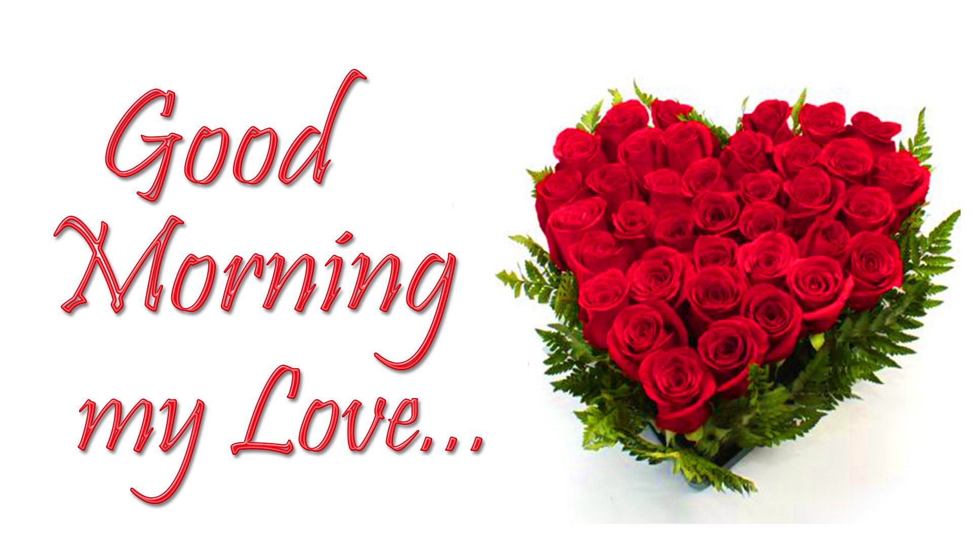 Good Morning Love Wallpapers Top Free Good Morning Love Backgrounds