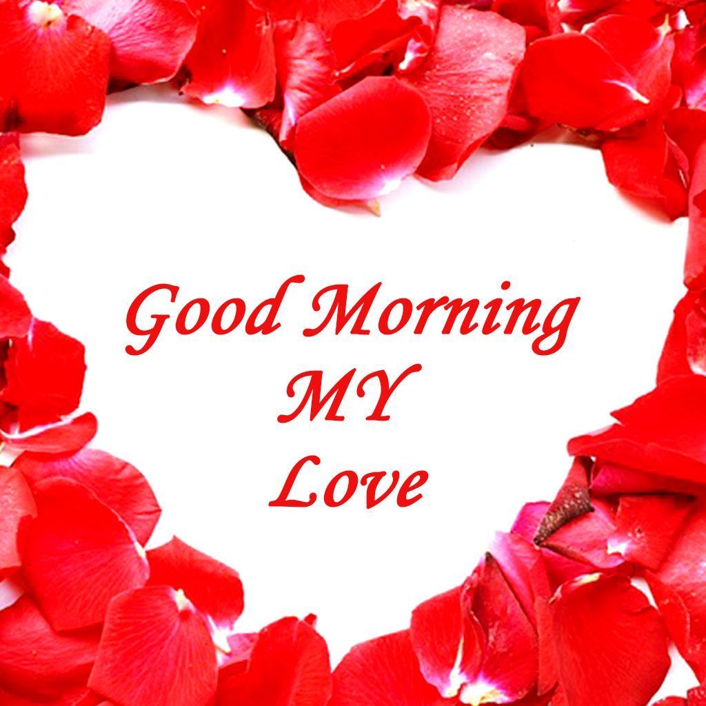 1024x1024 Good Morning Wallpaper For Lover
