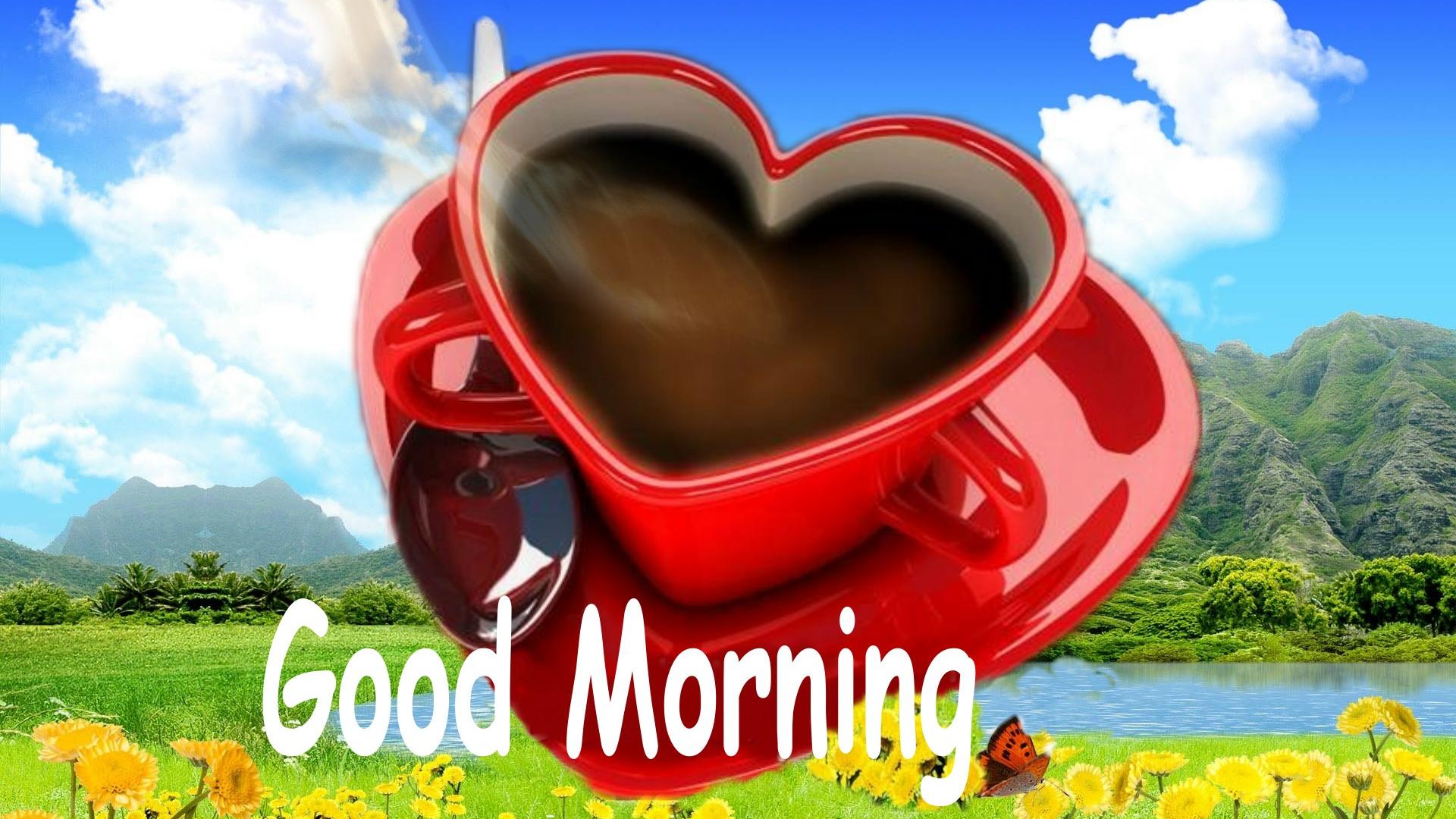 1920x1080 Free download Love Good Morning Image HD Wallpaper of Greeting hdwallpaper2013 [1920x1080] for your Desktop, Mobile & Tablet. Explore Good Morning Love Wallpaper. Good Morning Wallpaper, New Good Morning