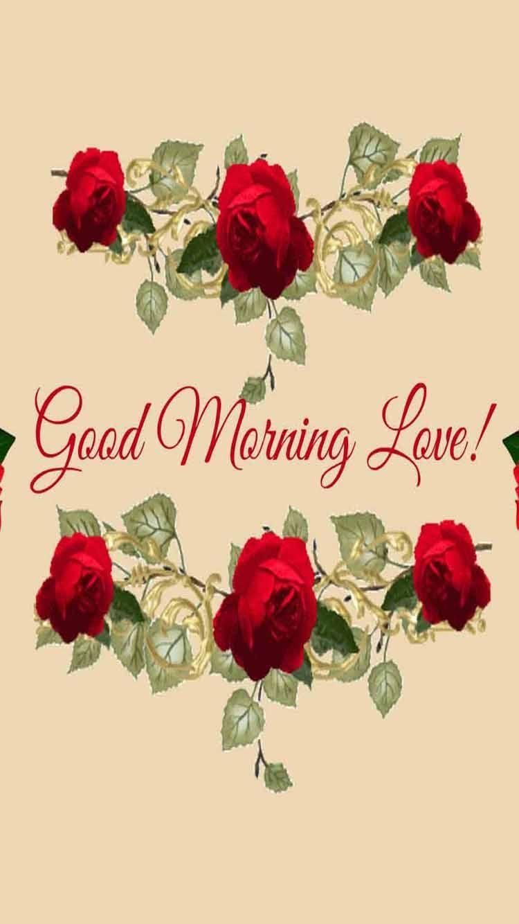 Good Morning Love Wallpapers Top Free Good Morning Love Backgrounds