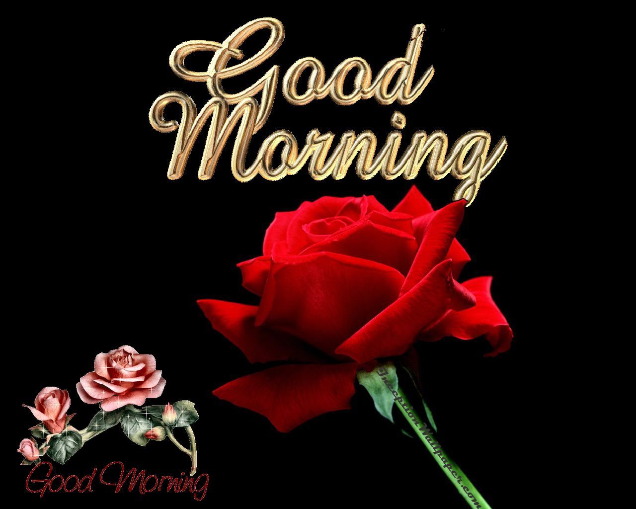 1280x1024 Free download Good Morning Wallpaper Picture Pics Photo Image Desktop [1280x1024] for your Desktop, Mobile & Tablet. Explore Good Morning Love Wallpaper. Good Morning Wallpaper, New Good Morning Wallpaper