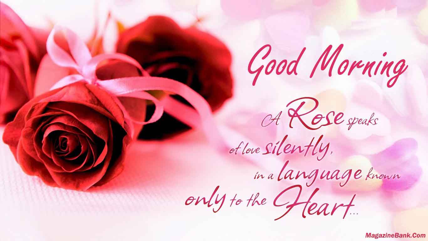 1366x768 Beautiful Good Morning Cell Wallpaper