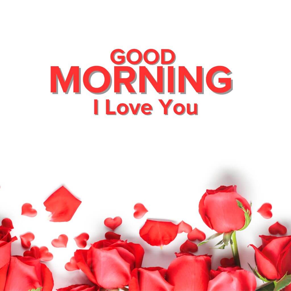 Good Morning Love Wallpapers Top Free