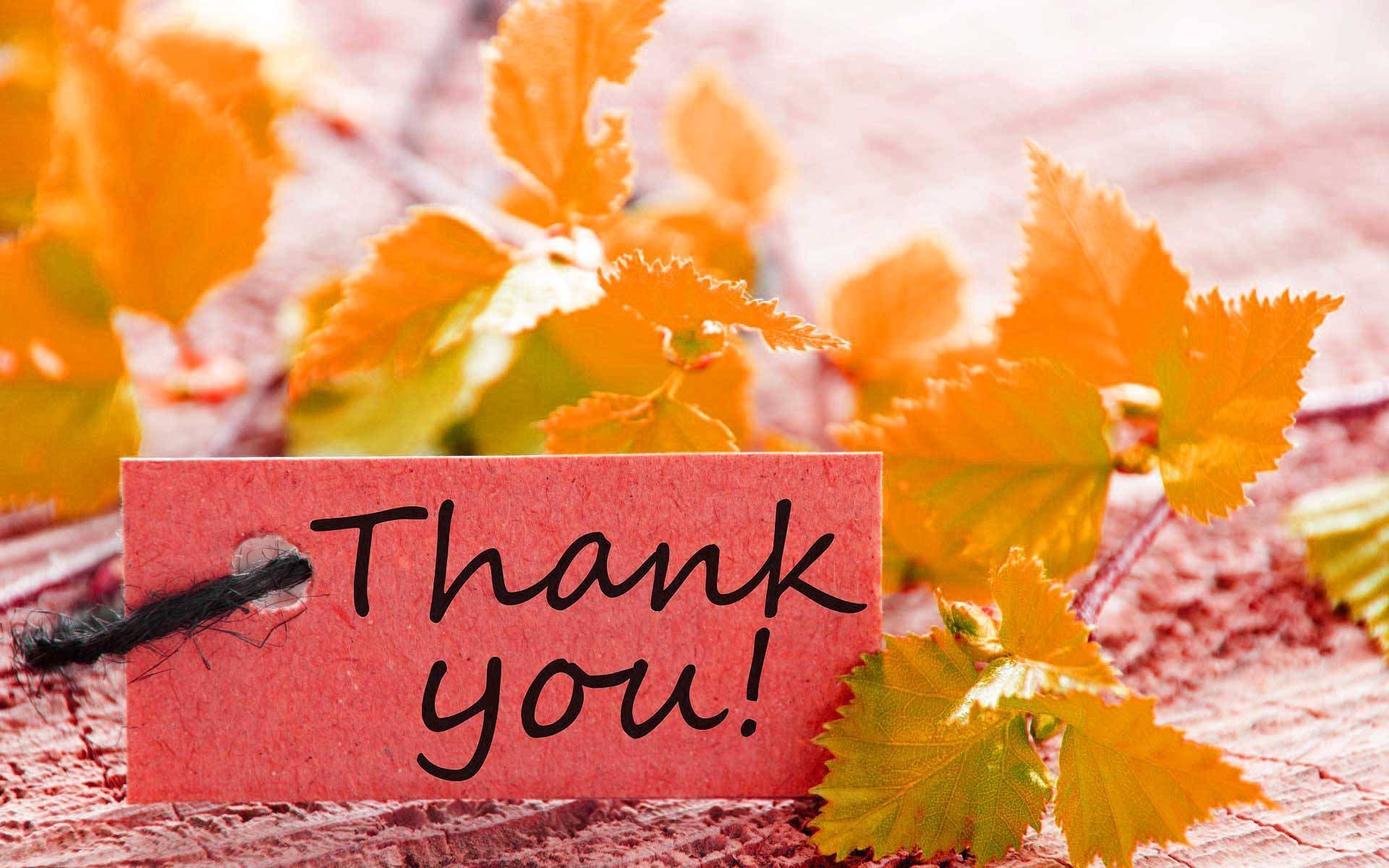 1920x1200 Download Autumn Leaves And Saying Thanks For Watching Wallpaper
