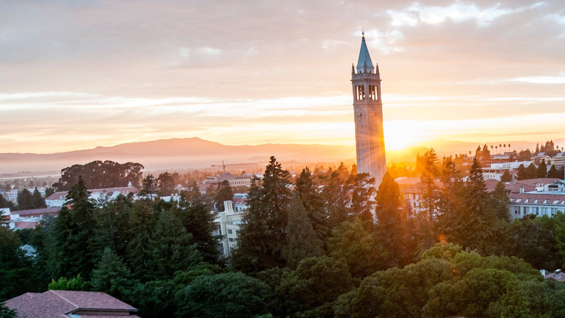 UC Berkeley Wallpapers - Top Free UC Berkeley Backgrounds - WallpaperAccess