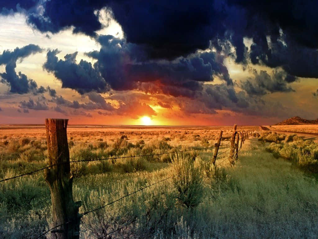 1024x768 End Of Summer Wallpaper