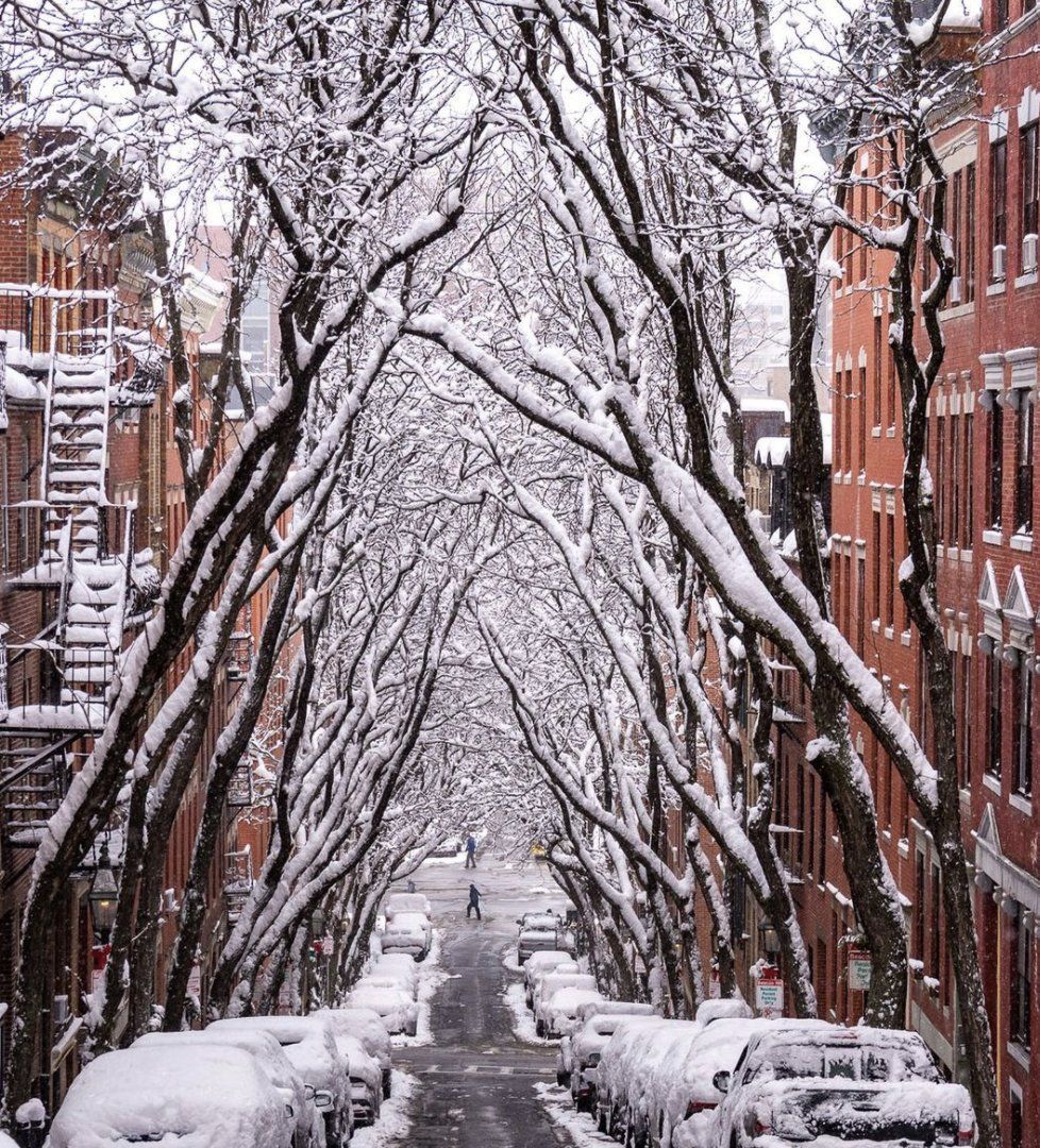 978x1080 7News Boston WHDH and Shine, New England! Thanks to photobyj2 on Instagram for sharing this fantastic snowy shot from Beacon Hill. If you would like to see your photo