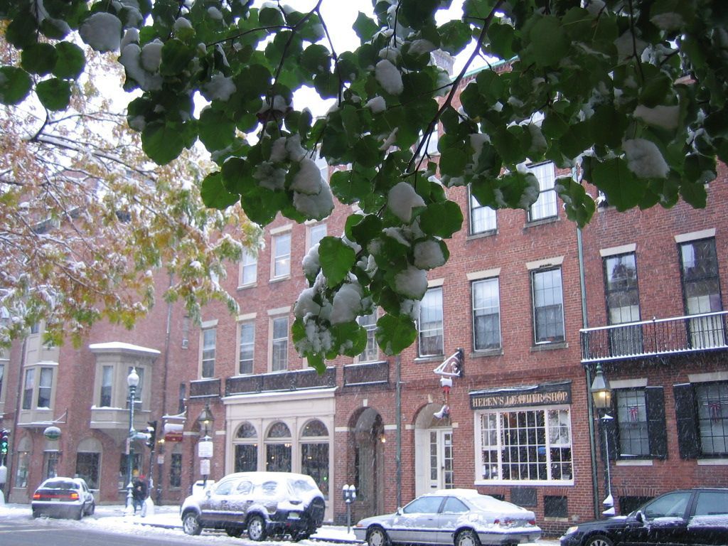 1024x768 Red Brick's Guide to Winter in Boston