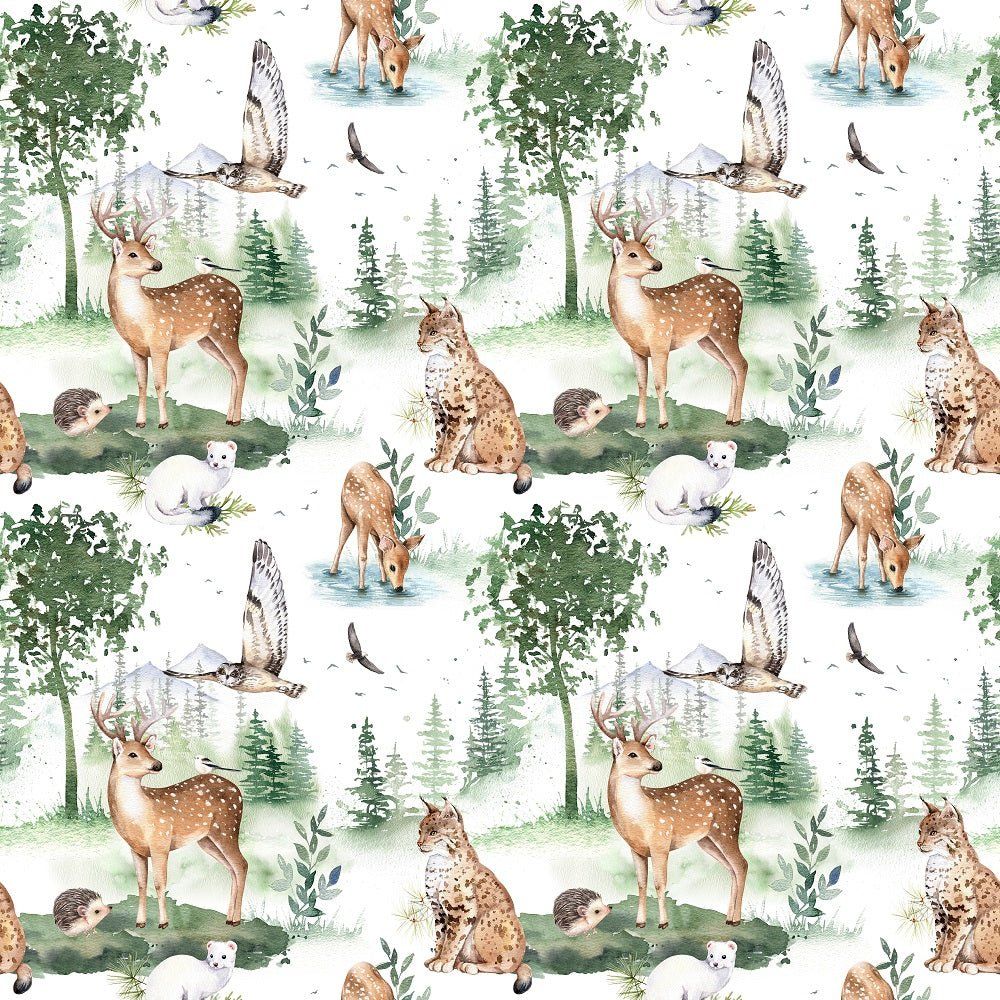 Woodland Animals Wallpapers Top Free Woodland Animals Backgrounds