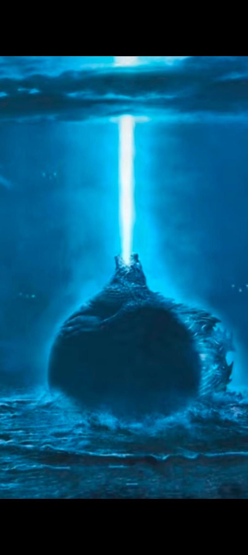 800x1784 phone wallpaper
