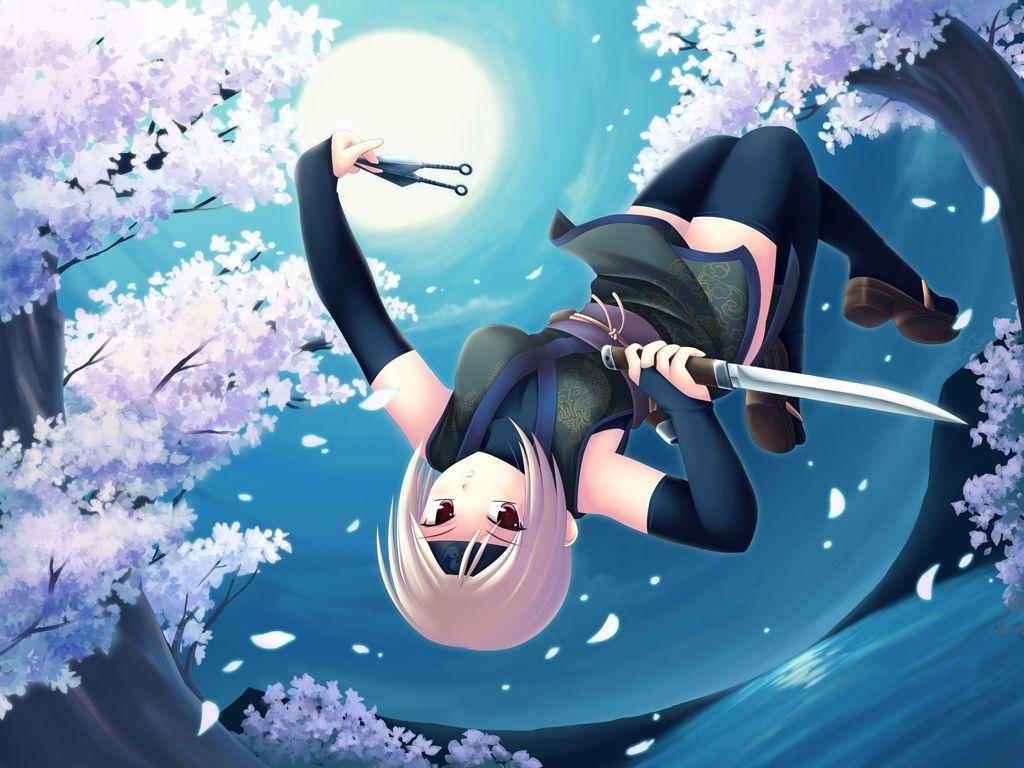 Blue-haired ninja girl anime - wide 2