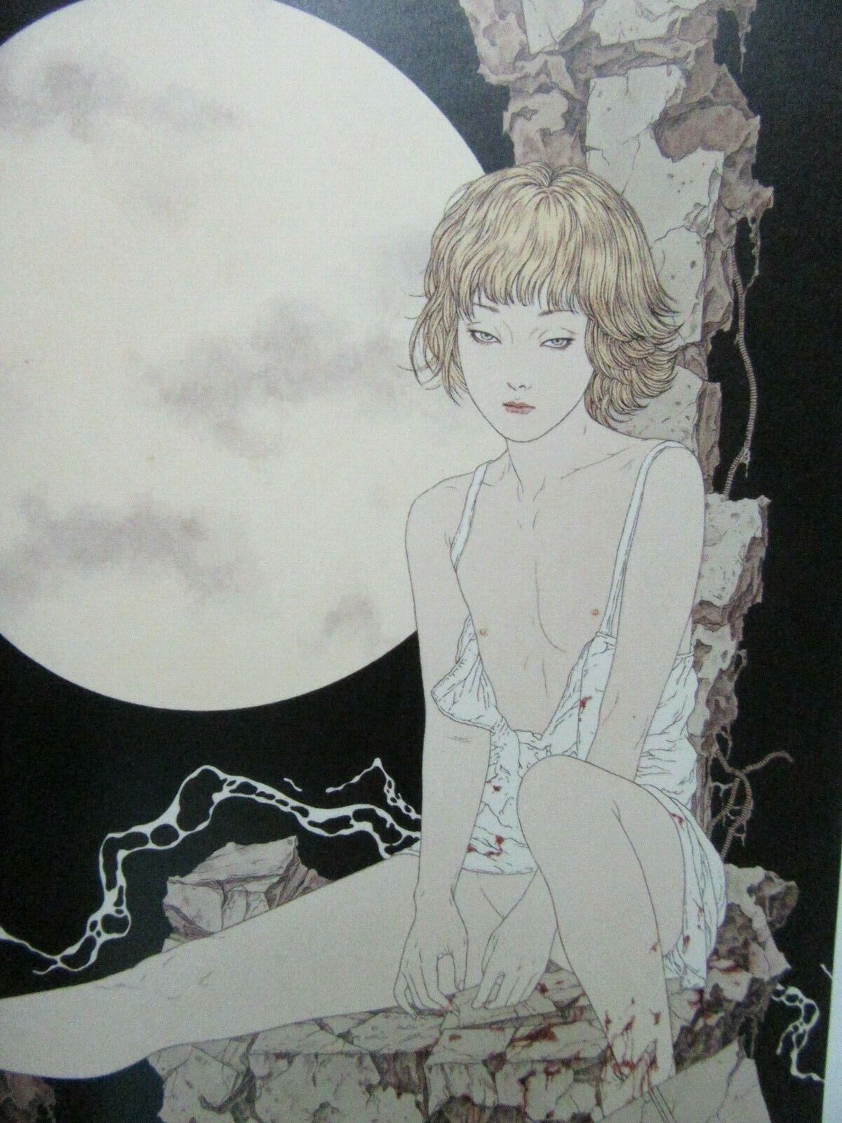 1200x1600 TAKATO YAMAMOTO ALLURE OF PHARMAKON HARDCOVER SIGNED! PAN EXOTICA TREVILLE