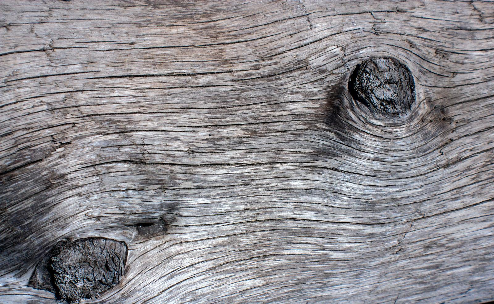 1600x986 Driftwood Wallpaper