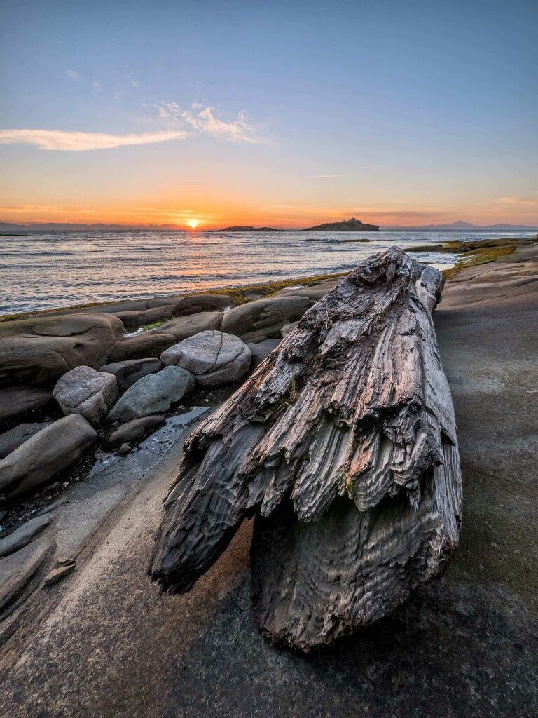 Driftwood Wallpapers - Top Free Driftwood Backgrounds - WallpaperAccess