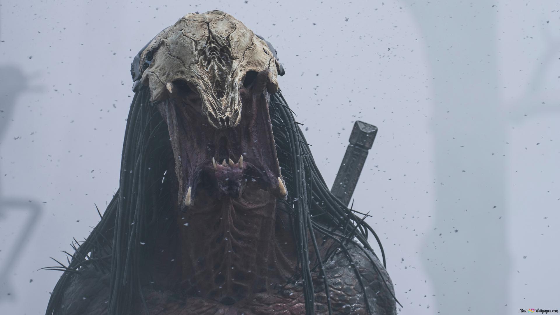 1920x1080 Prey 2022 movie Predator face 4K wallpaper download