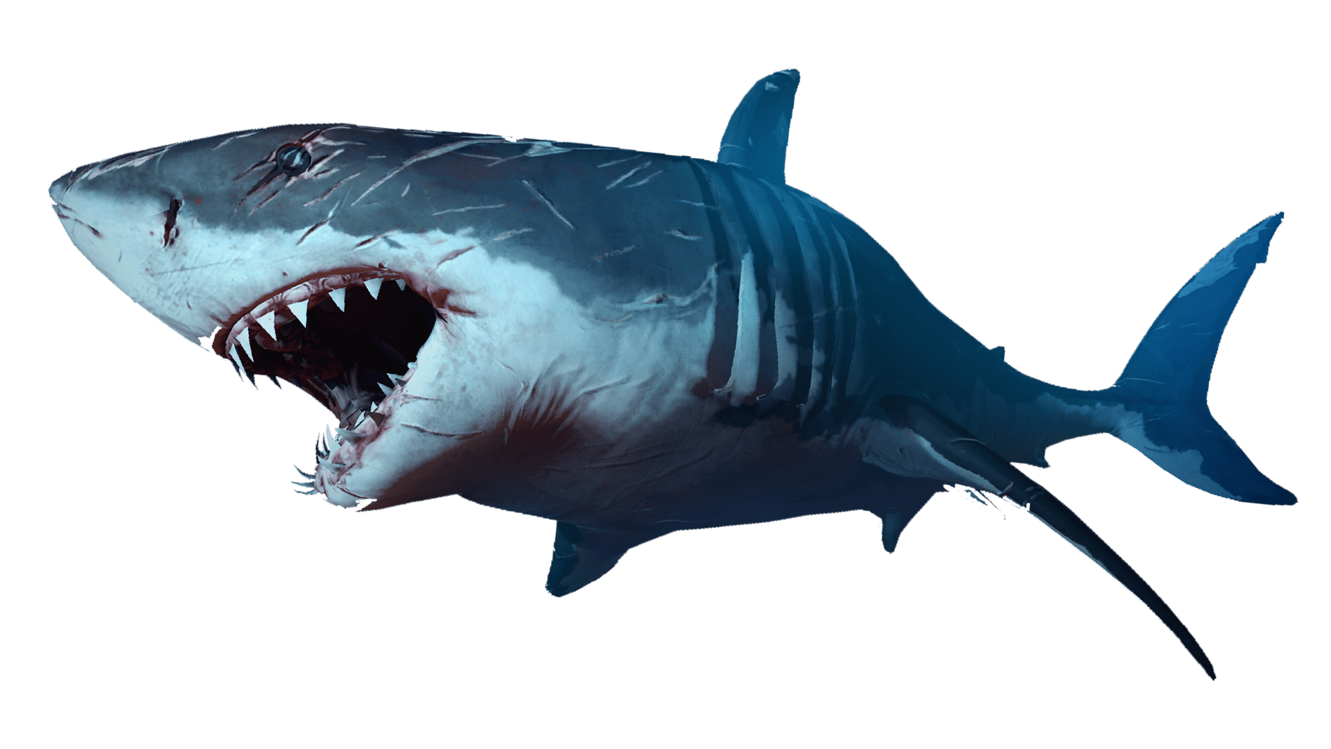 1920x1080 The Shark
