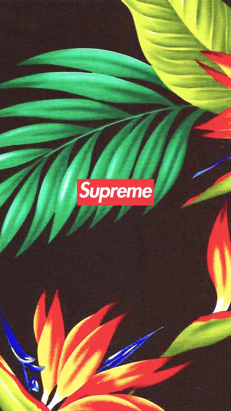 Hypebeast Wallpapers Top Free Hypebeast Backgrounds