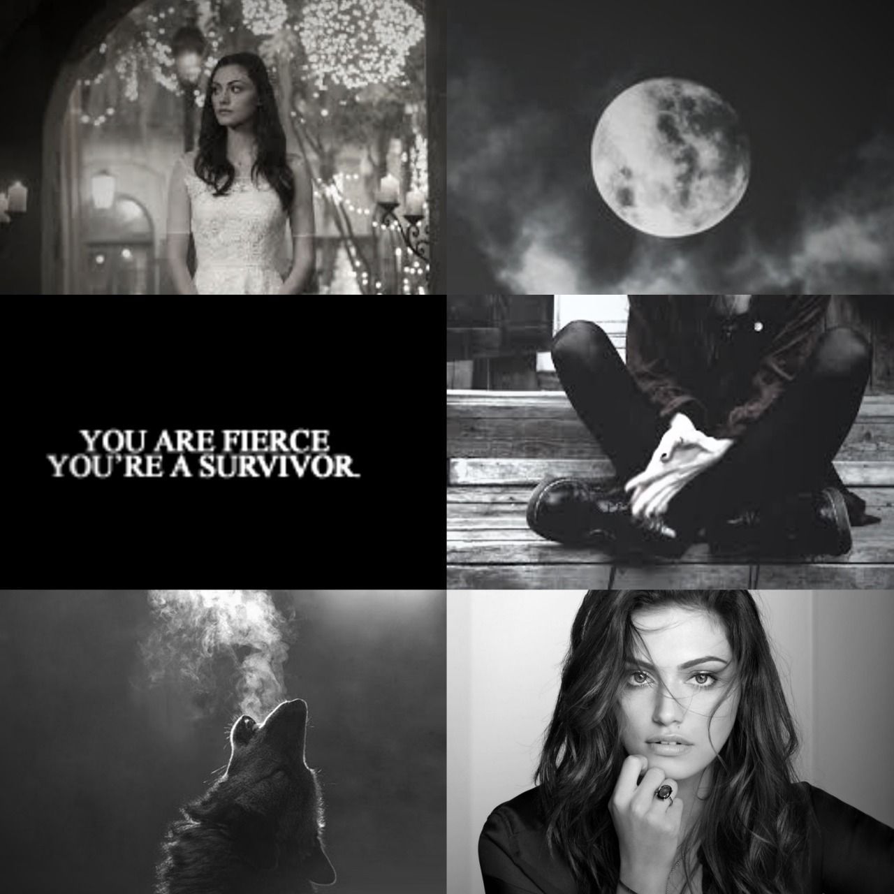 1280x1280 Them Dang Imagines