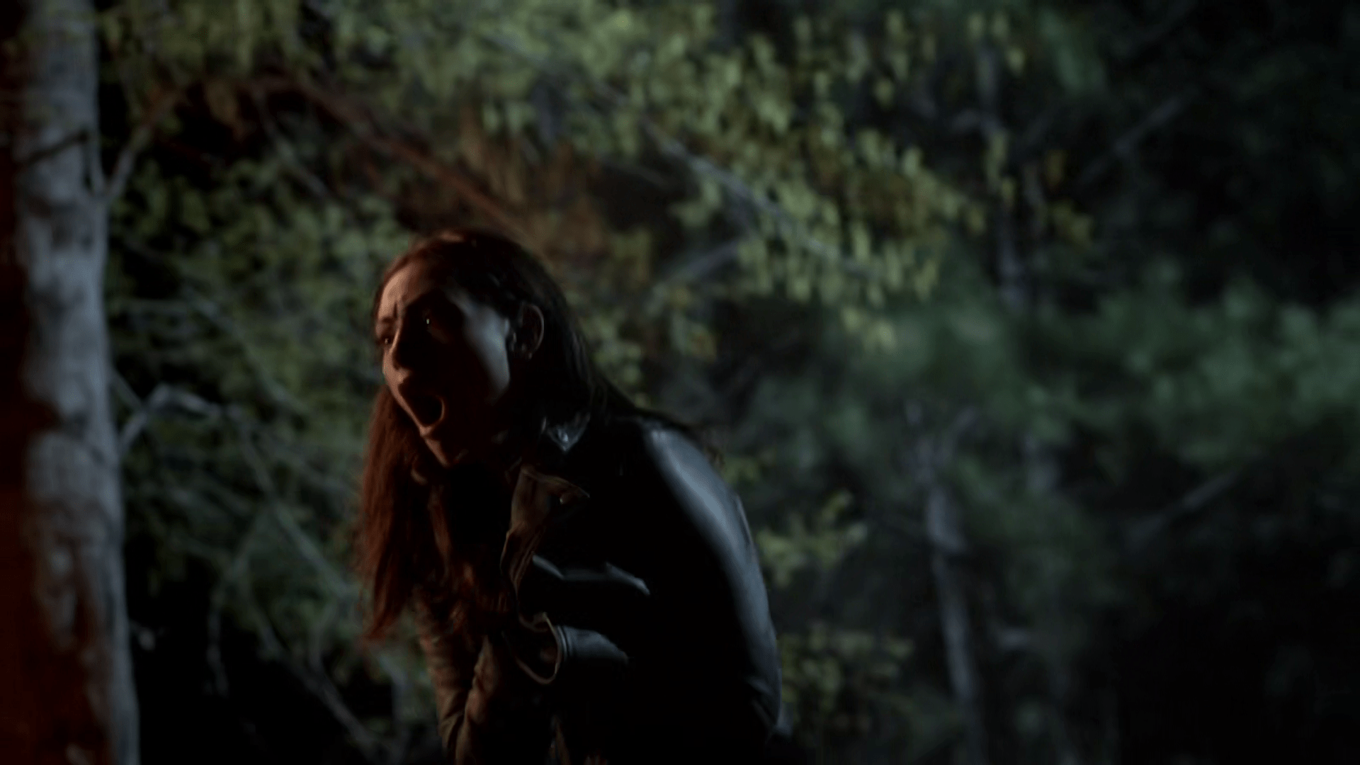 1920x1080 The Crescent Curse. The Vampire Diaries