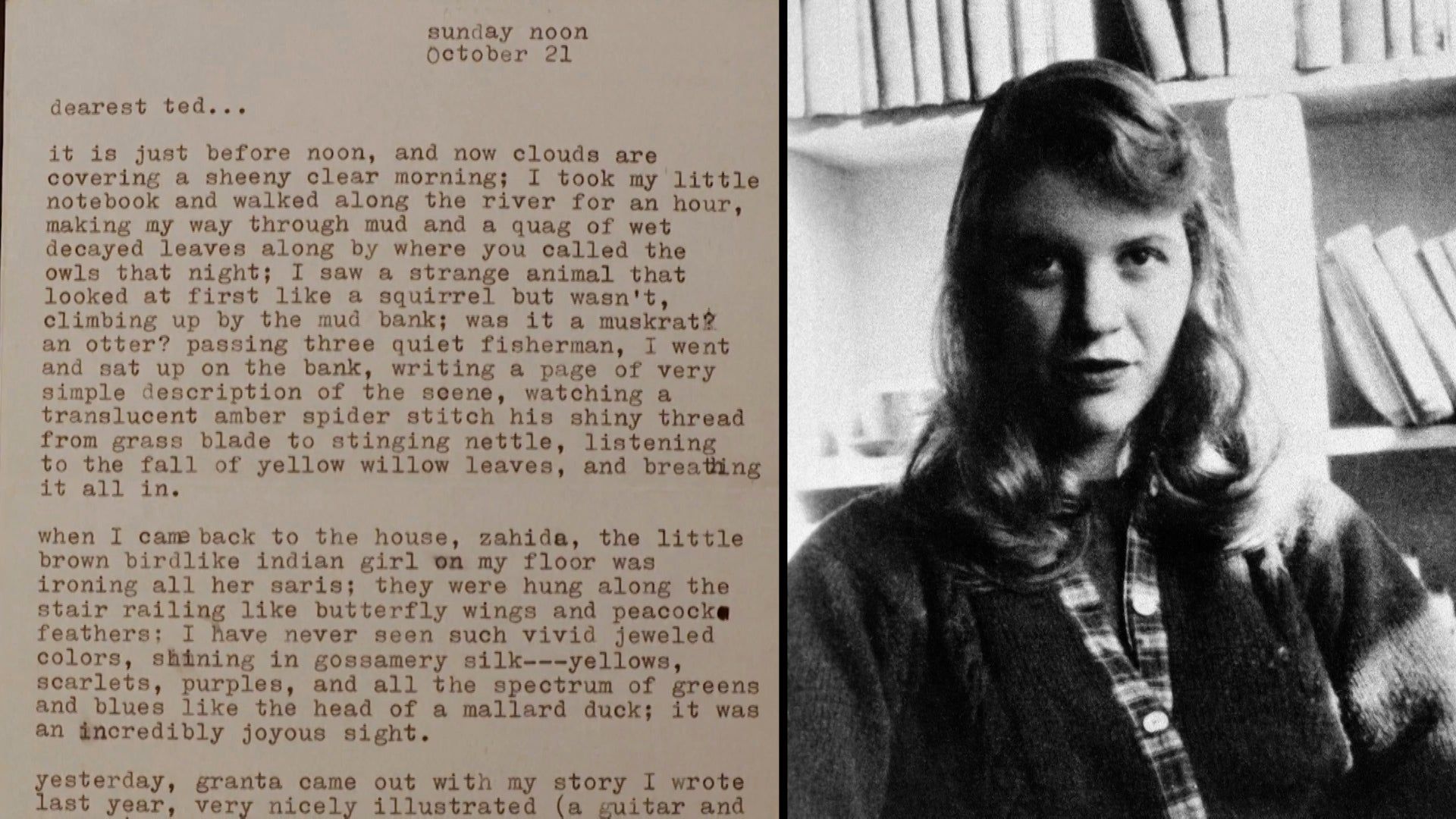 Sylvia Plath Wallpapers Top Free Sylvia Plath Backgrounds