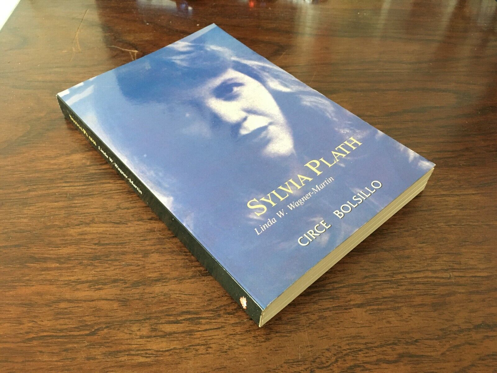 1600x1200 Sylvia Plath Biografia En Español Linda W. Wagner Martin 1997 Circe Barcelona 9788477651420