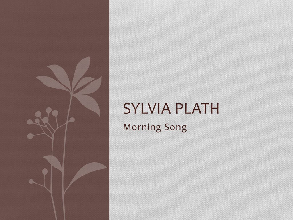 1024x768 Sylvia Plath Morning Song