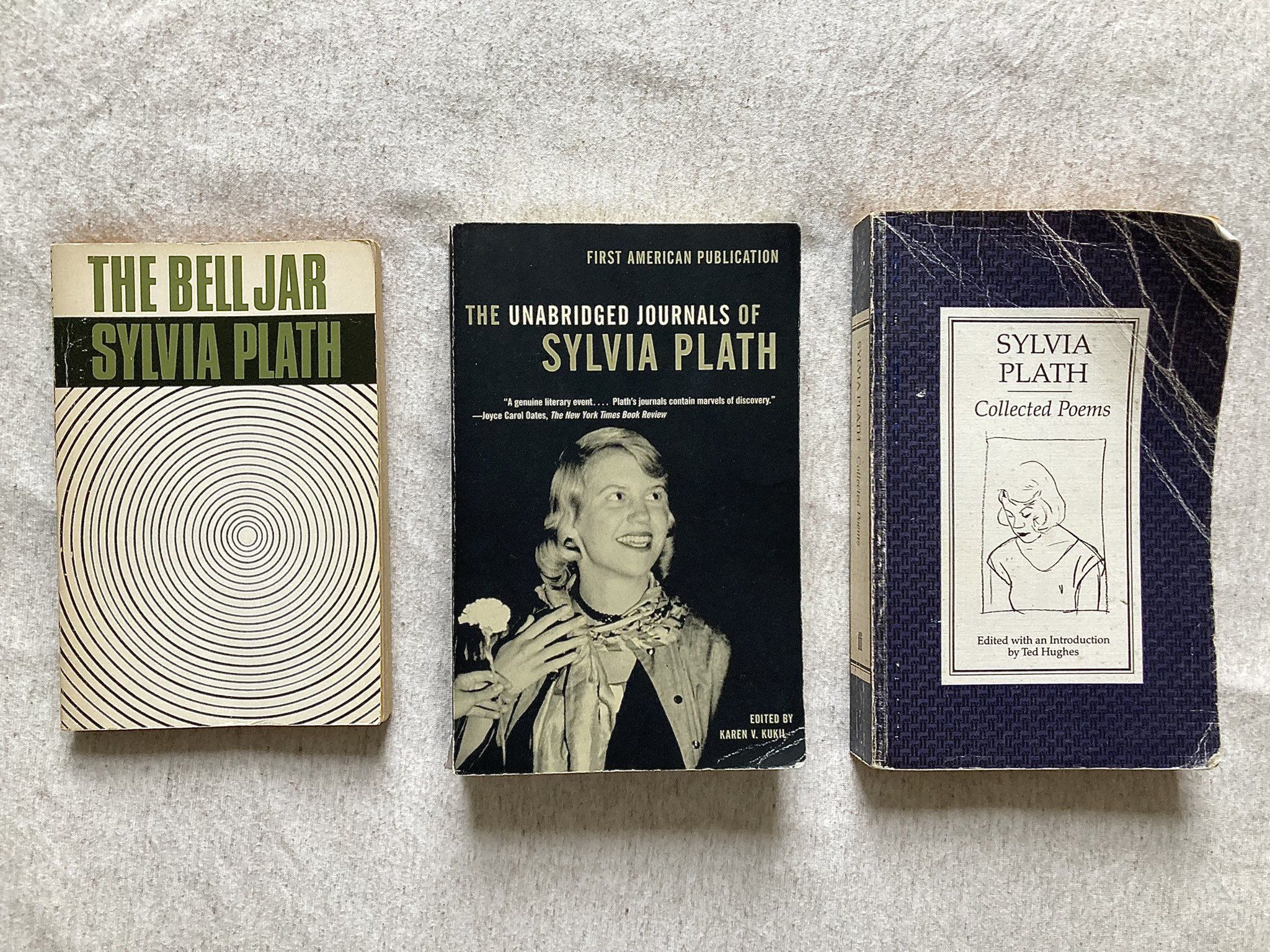 2048x1536 rhi want to to do a series of 'Author Deep Dives' for Spring Journal, studying an author in depth starting with Sylvia Plath. I would collate research analysing her