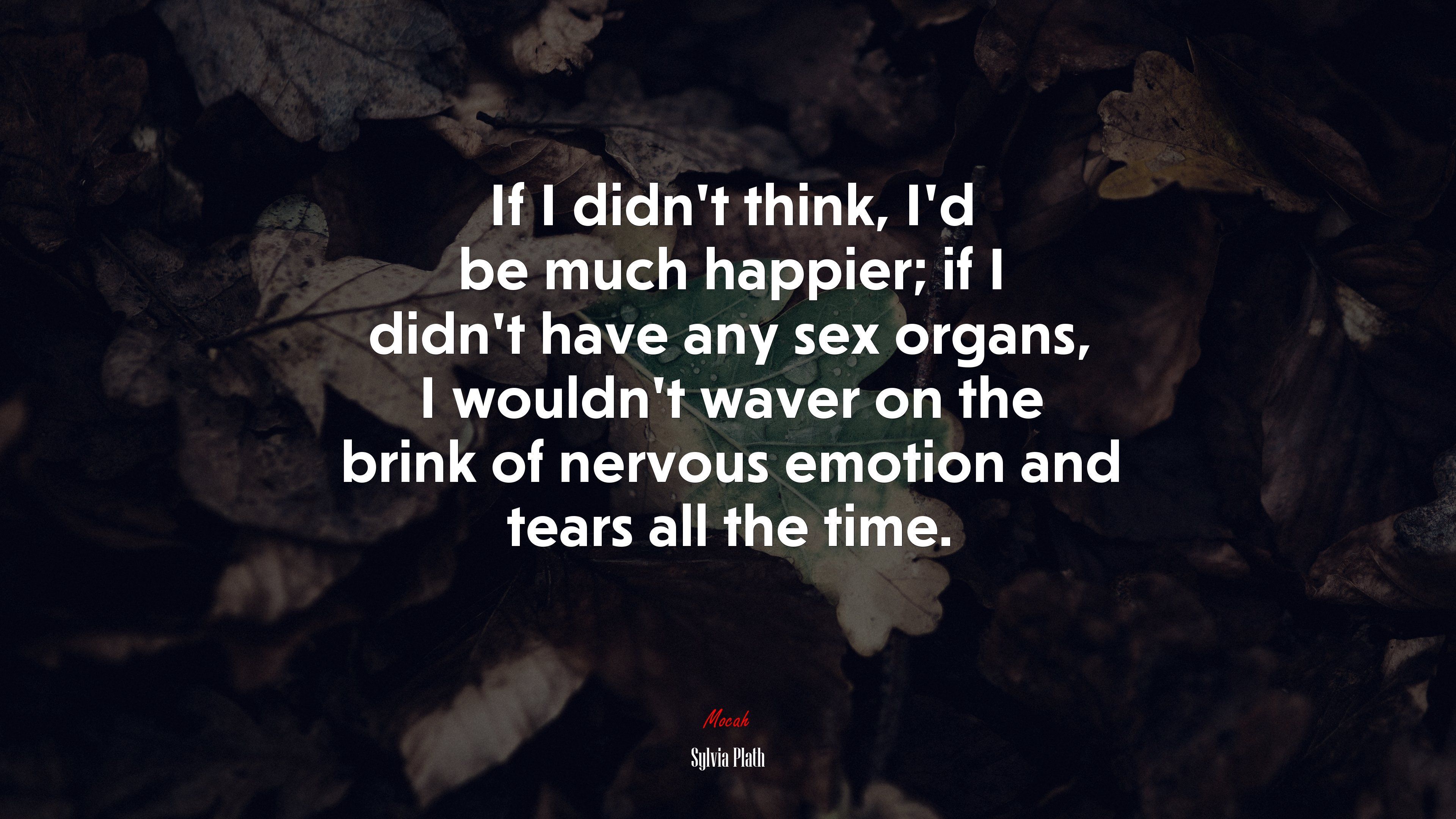 3840x2160 I think I made you up inside my head. Sylvia Plath quote Gallery HD Wallpaper