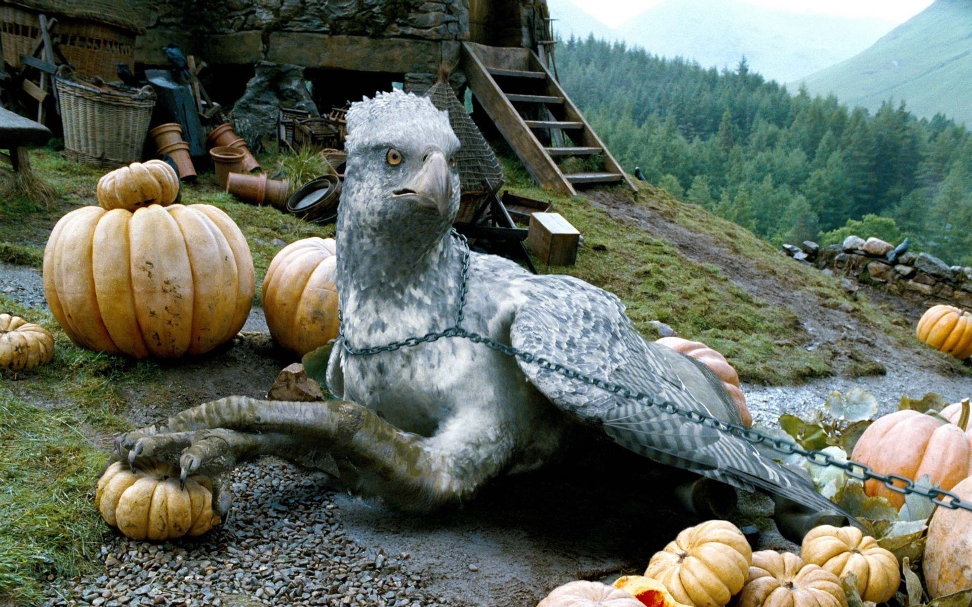 1920x1200 Buckbeak Harry Potter Wallpaper