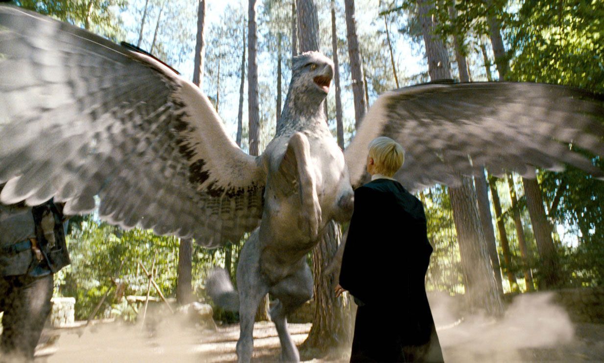 1233x742 buckbeak. Buckbeak harry potter, Harry potter film, Harry potter movies