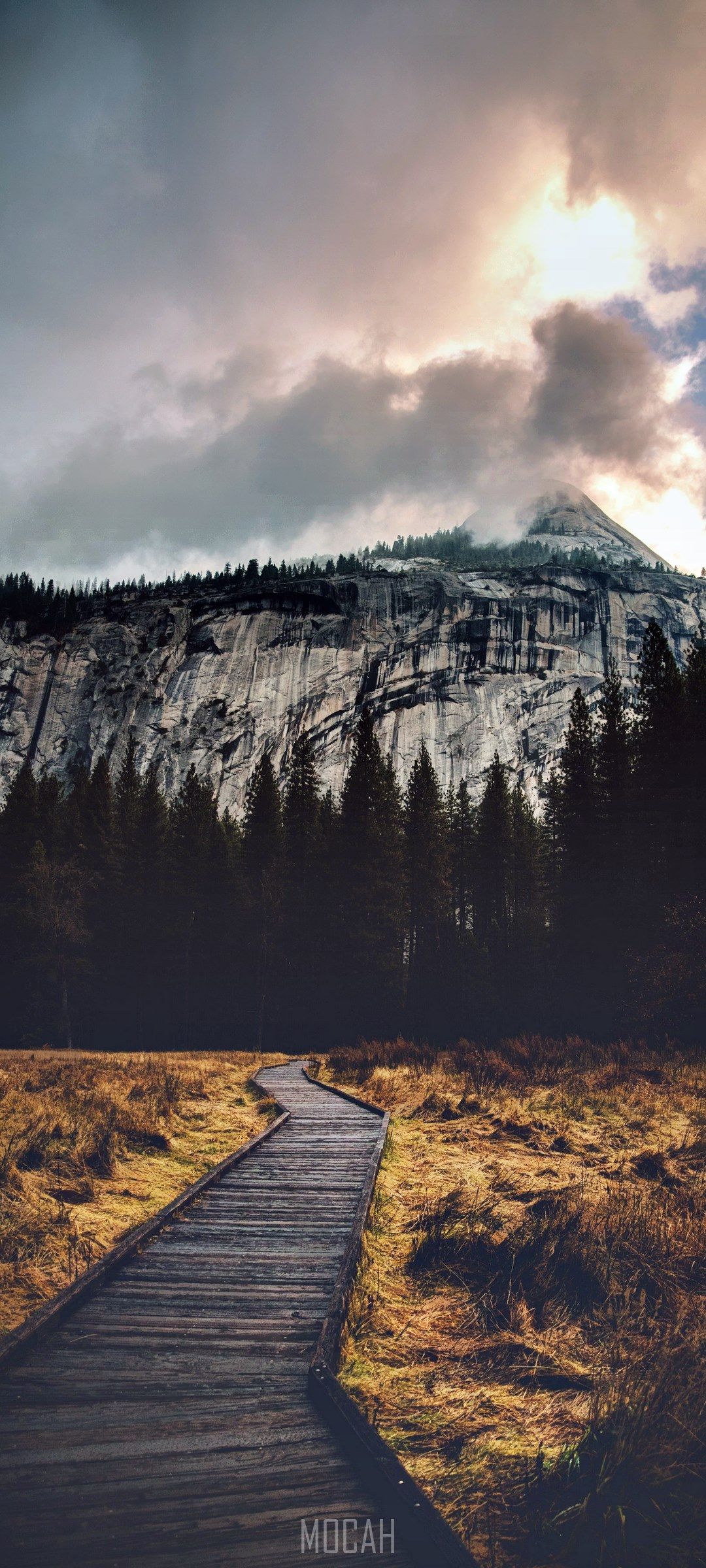 1080x2400 paths, Huawei P40 lite 5G wallpaper full hd, 1080x2400 Gallery HD Wallpaper