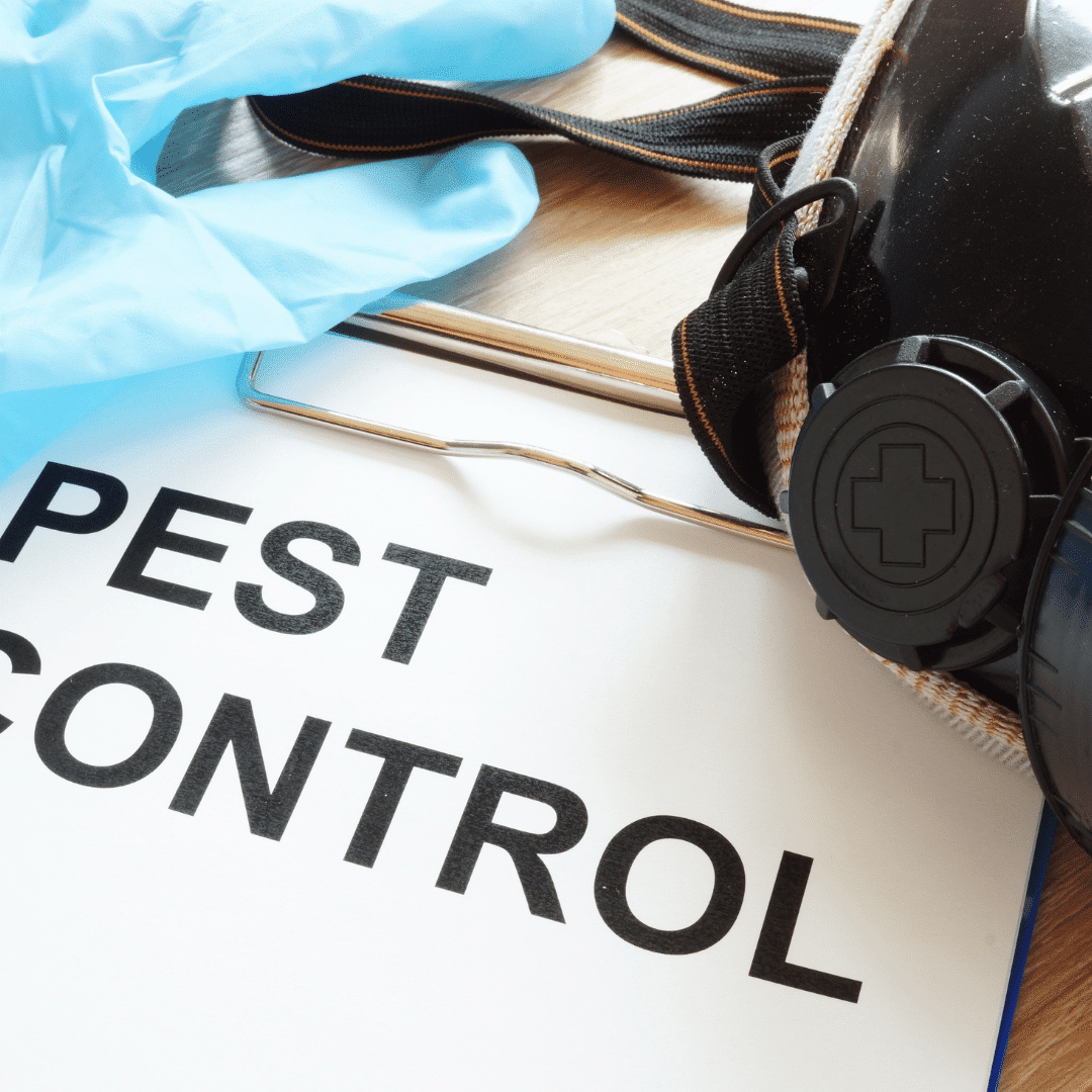 Pest Control Wallpapers Top Free Pest Control Backgrounds