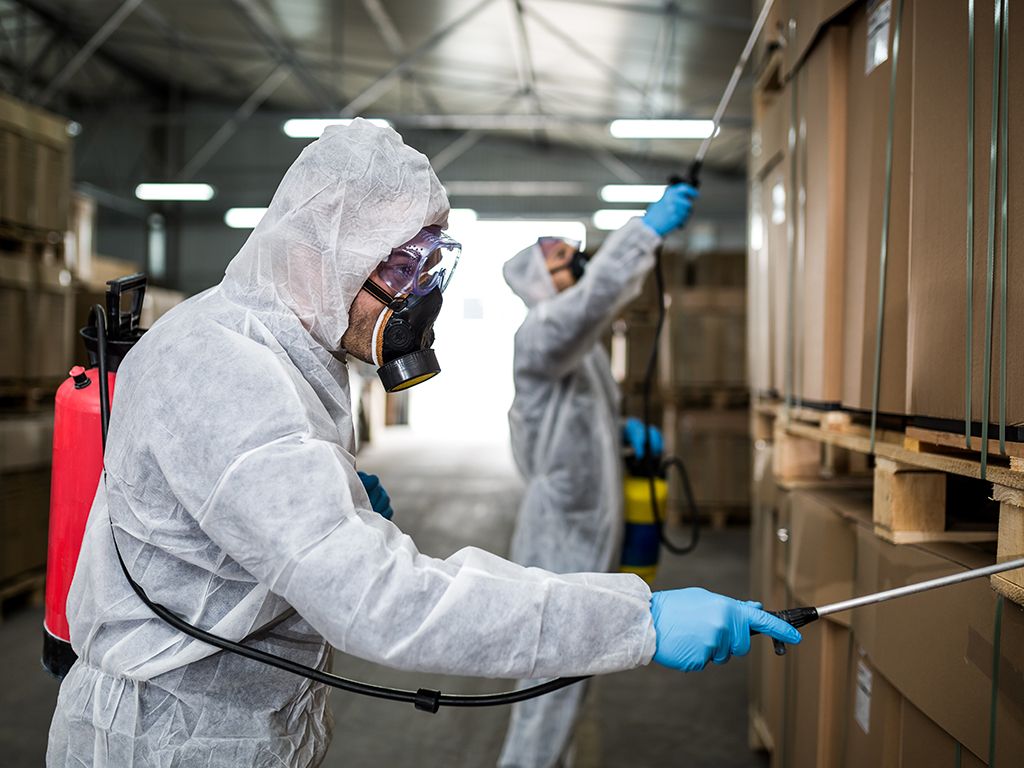 Pest Control Wallpapers - Top Free Pest Control Backgrounds