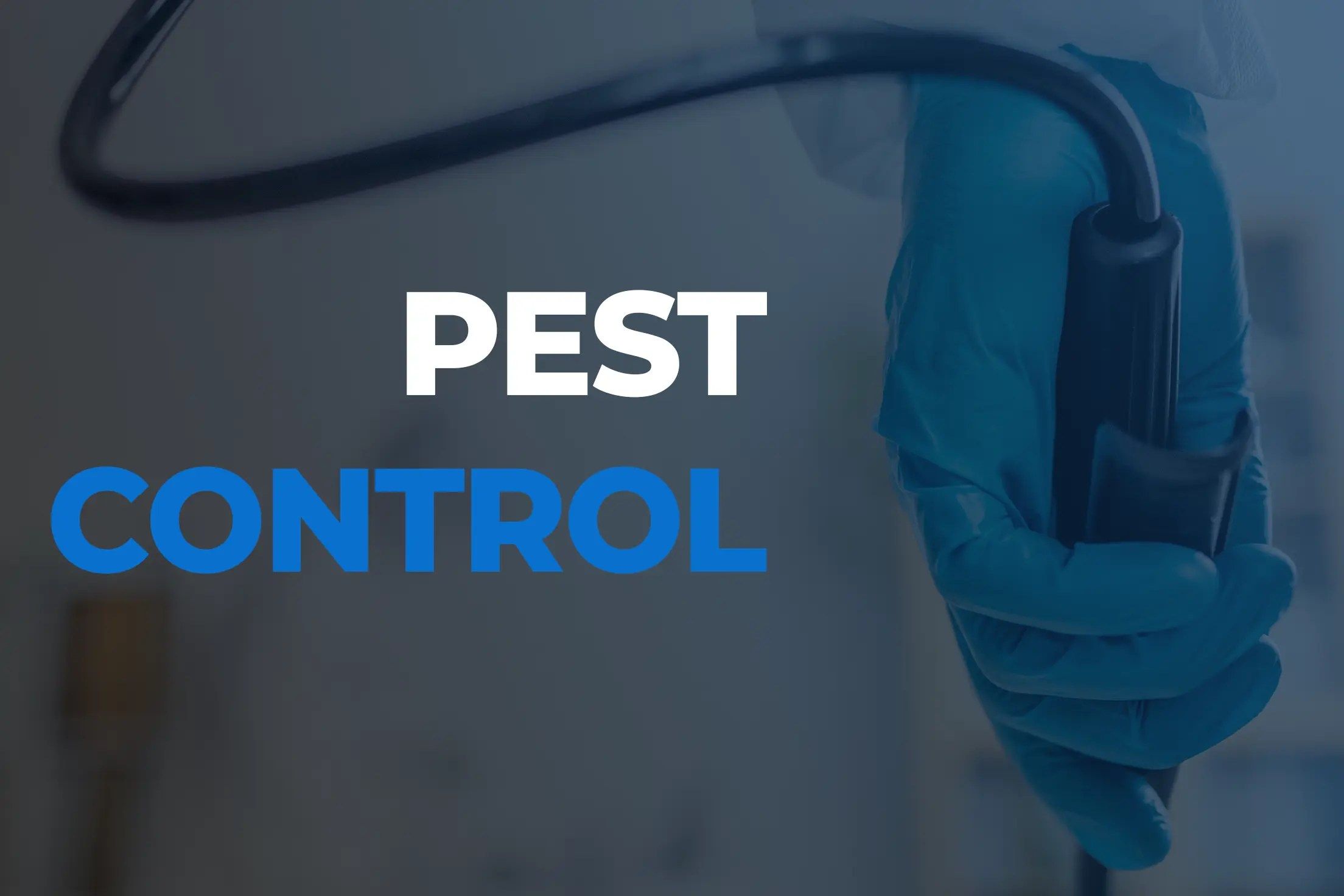 Pest Control Wallpapers Top Free Pest Control Backgrounds