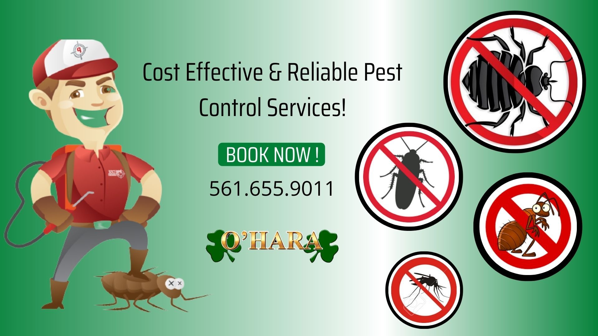 1920x1080 Pest service