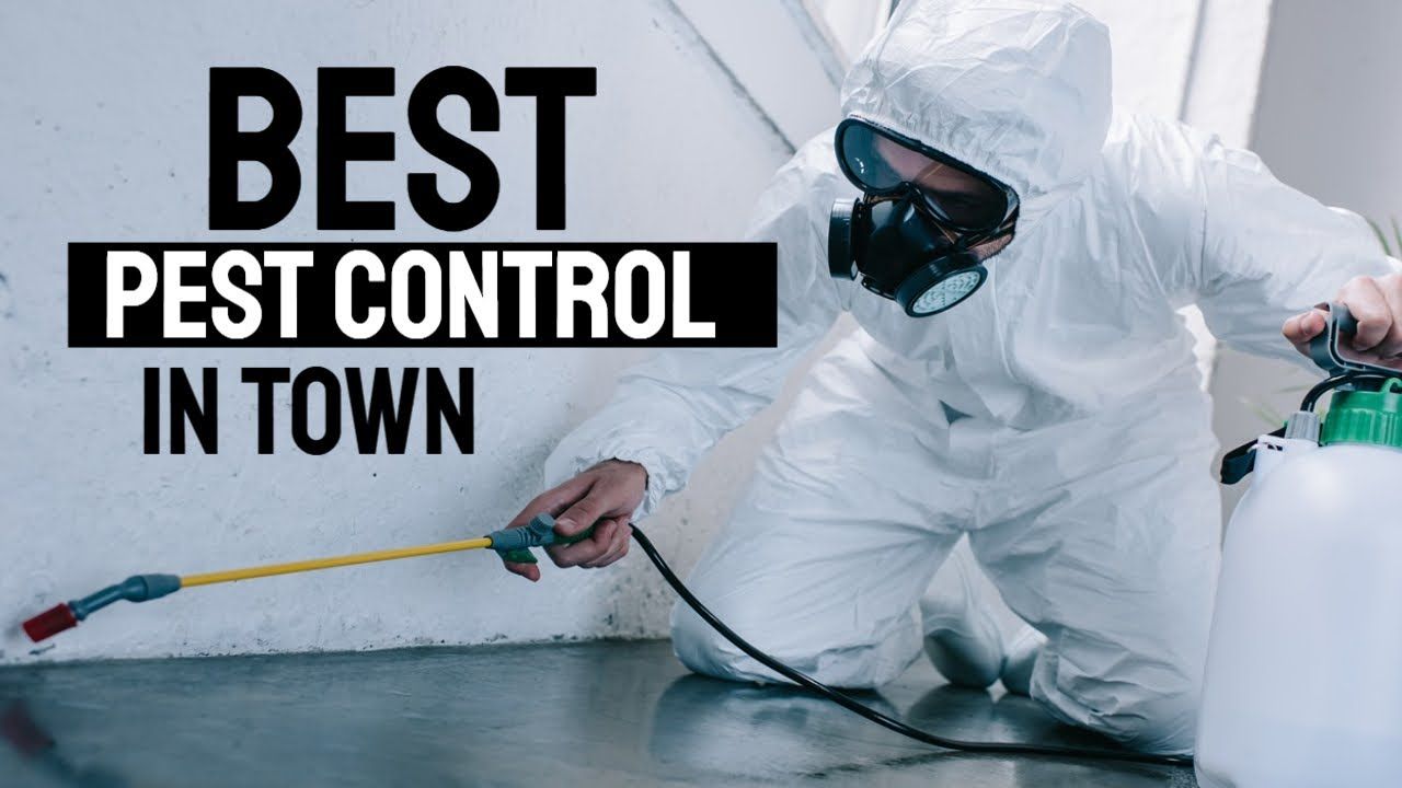 Pest Control Wallpapers - Top Free Pest Control Backgrounds
