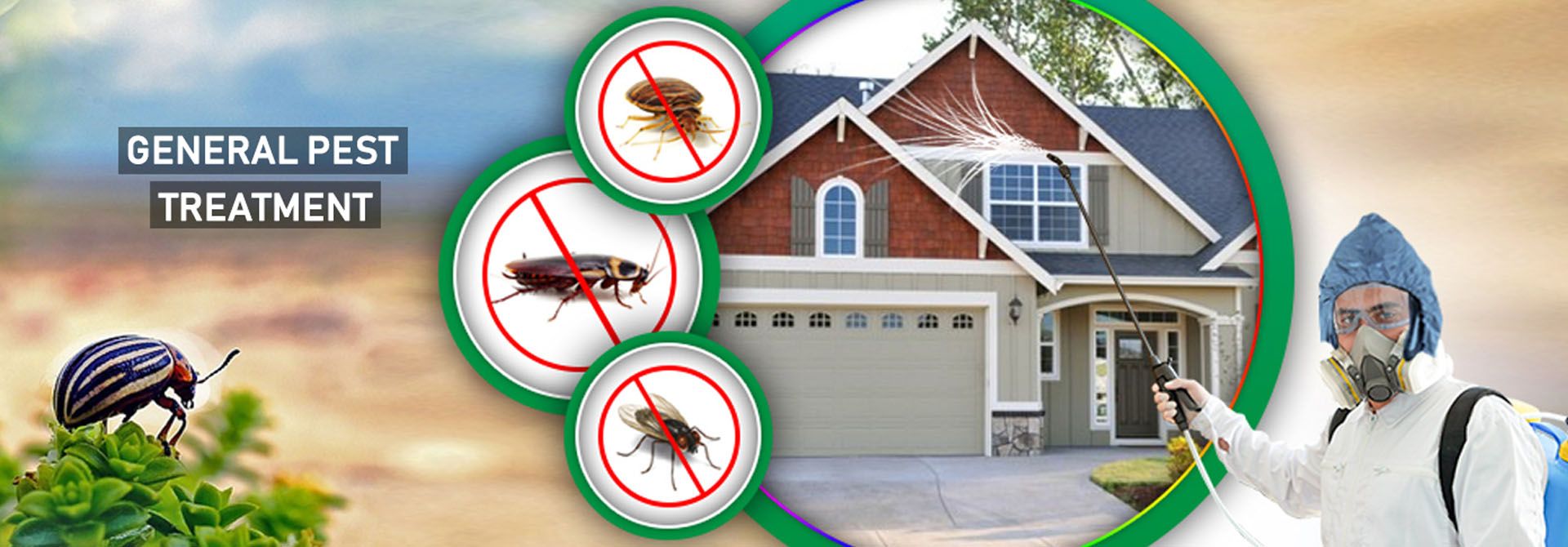 Pest Control Wallpapers Top Free Pest Control Backgrounds