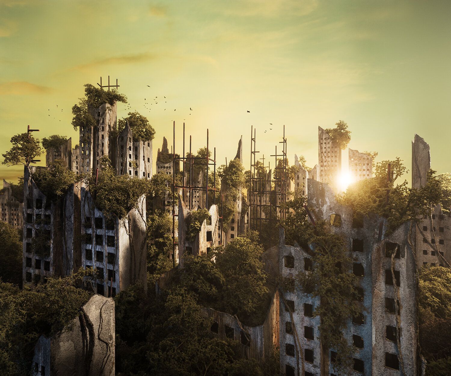 1500x1251 Imagining the End