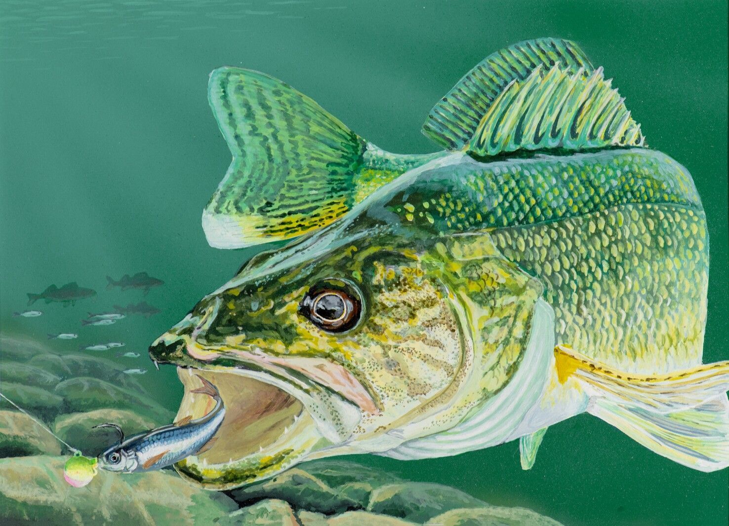 1476x1066 Notebook: Bemidji artist wins 2024 Minnesota Walleye Stamp Contest Forks Herald. Grand Forks, East Grand Forks news, weather & sports