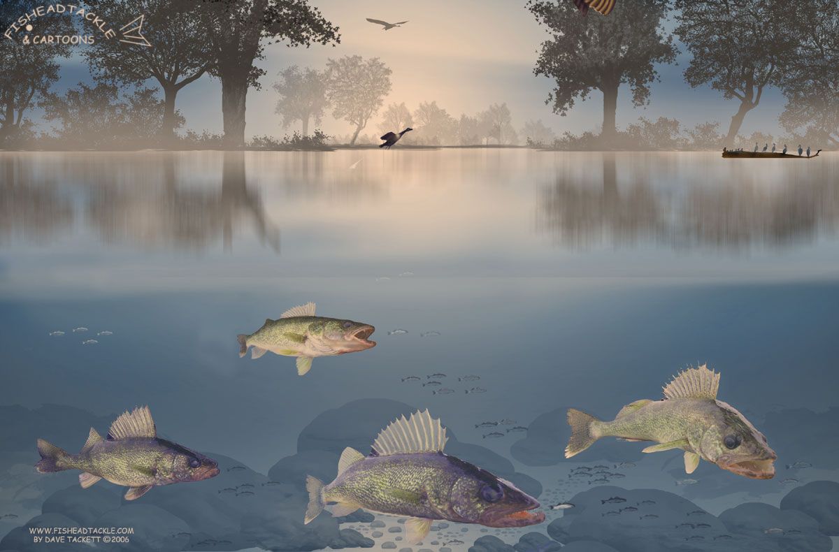 1200x790 Free download Walleye Wallpaper [1200x790] for your Desktop, Mobile & Tablet. Explore Walleye Wallpaper. Toledo Walleye Wallpaper, Walleye Wallpaper
