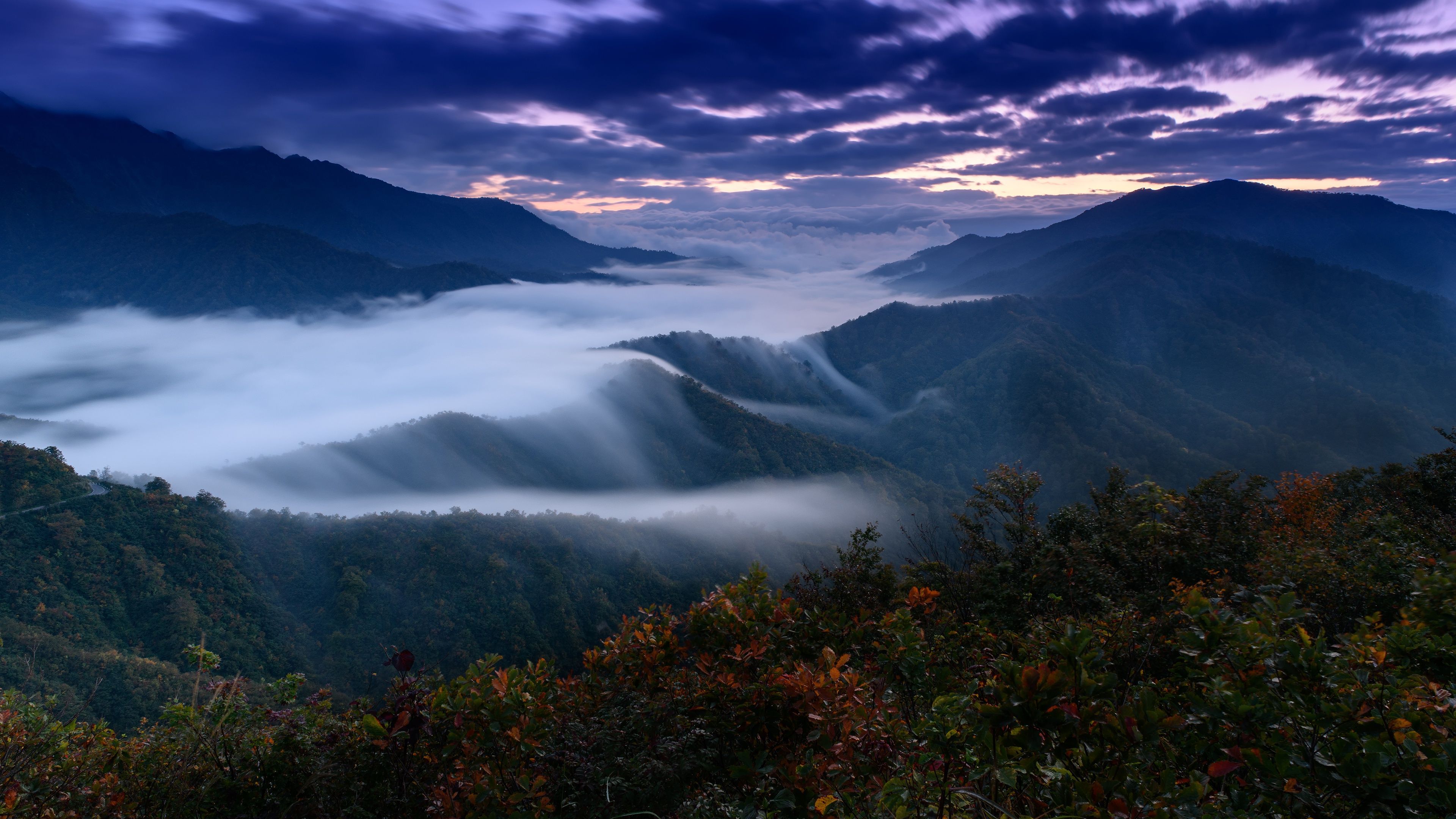 3840x2160 Nature Fog 4k Ultra HD Wallpaper