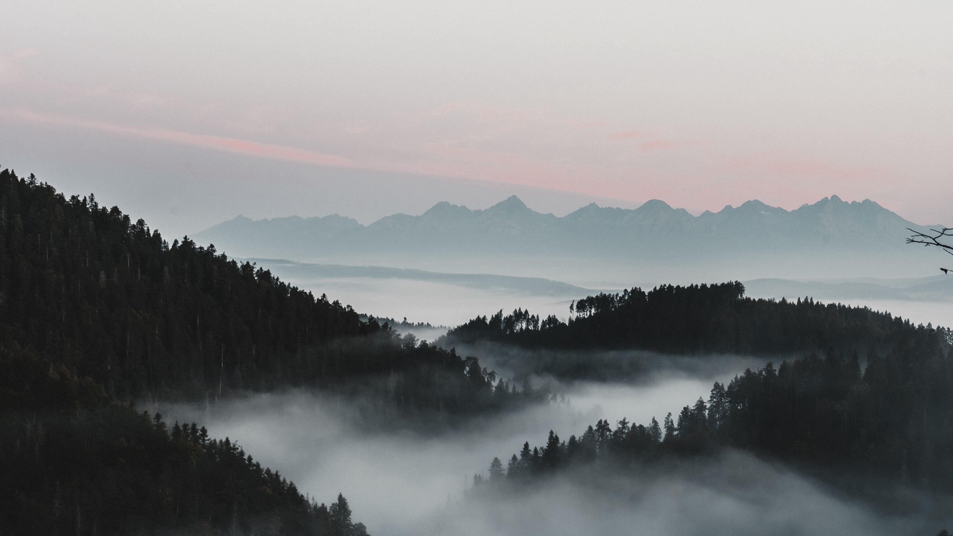 3840x2160 Download wallpaper 3840x2160 mountains, fog, aerial view, forest, dusk 4k uhd 16:9 HD background