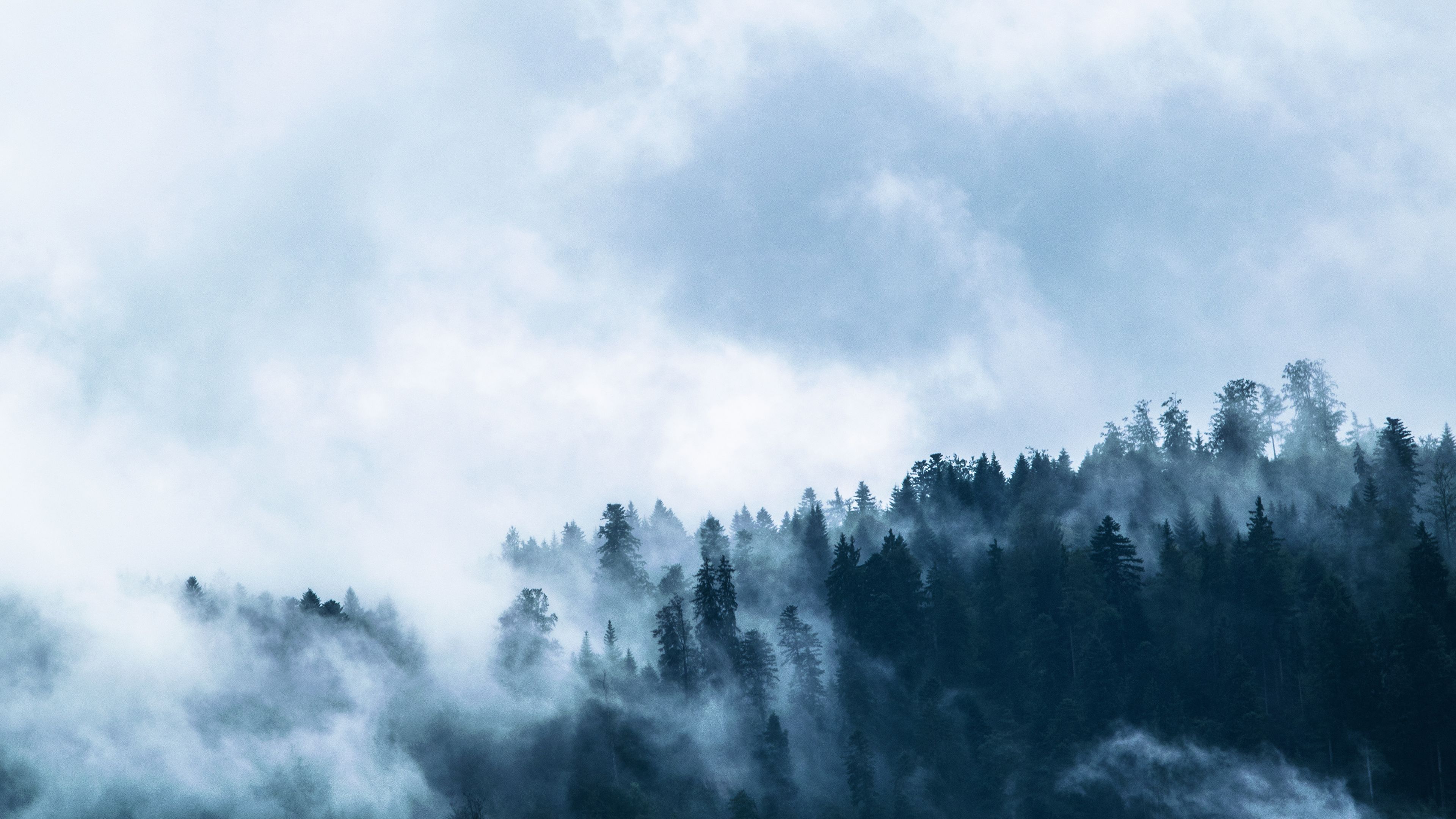 3840x2160 Foggy Wallpaper 4K