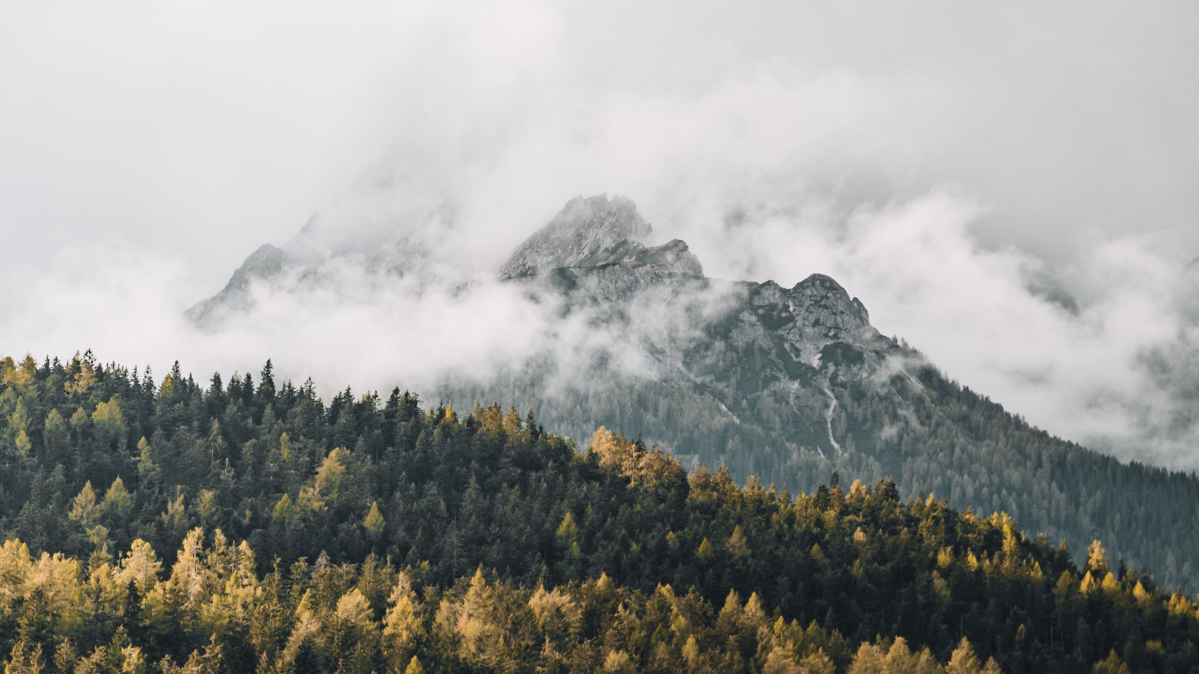 3840x2160 Download wallpaper 3840x2160 mountains, fog, trees, forest 4k uhd 16:9 HD background